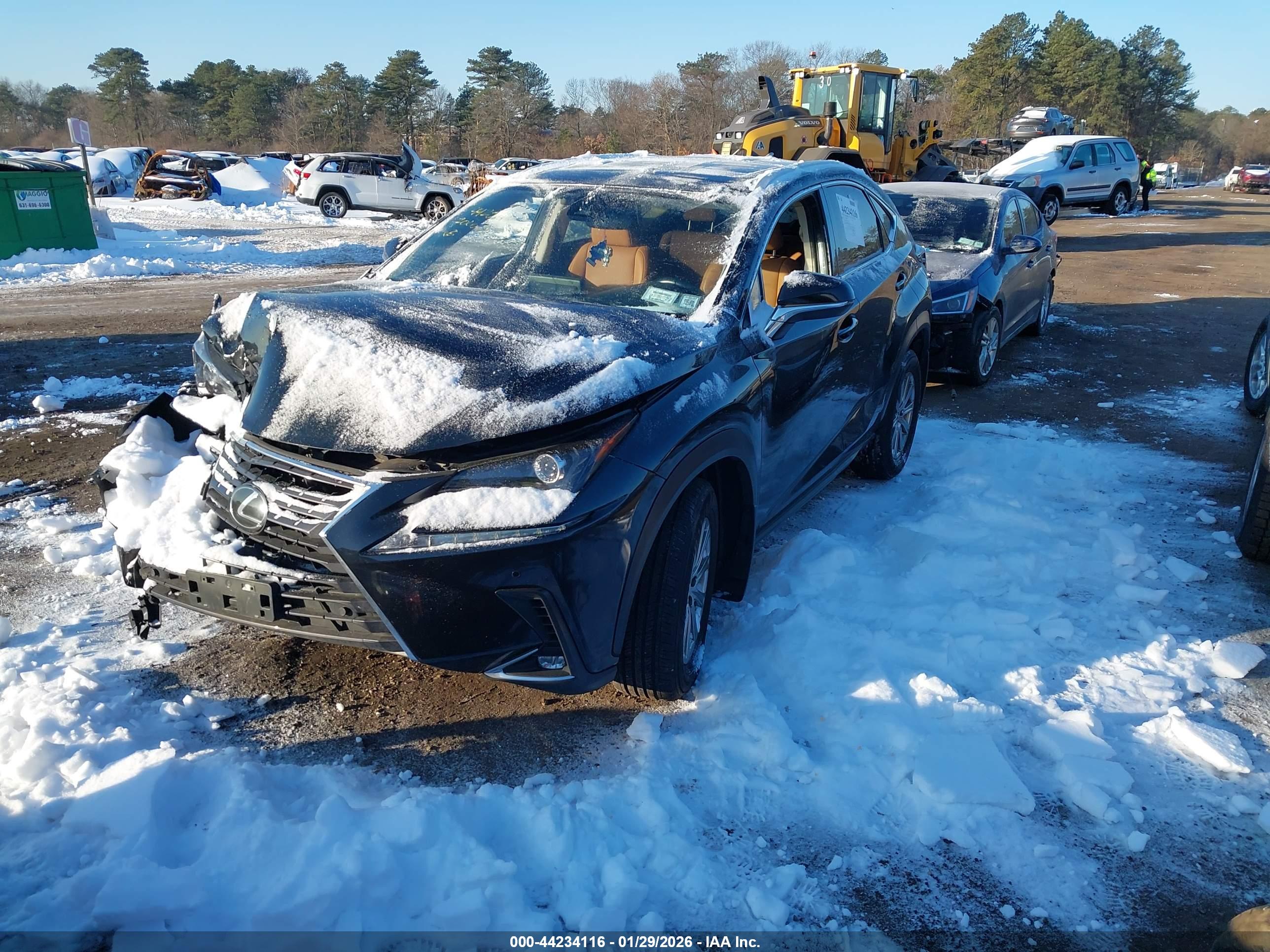 LEXUS NX image 2