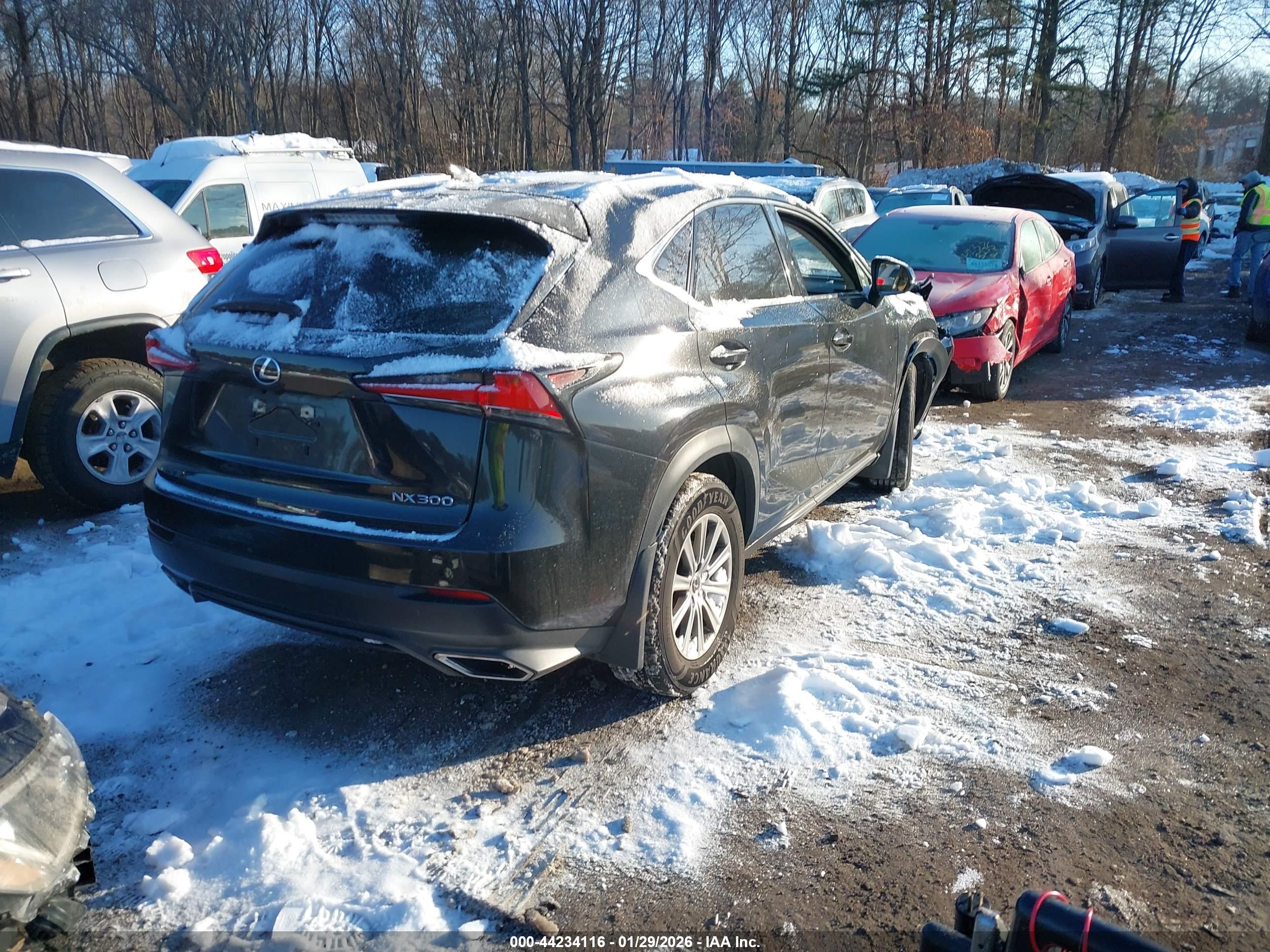 LEXUS NX image 4