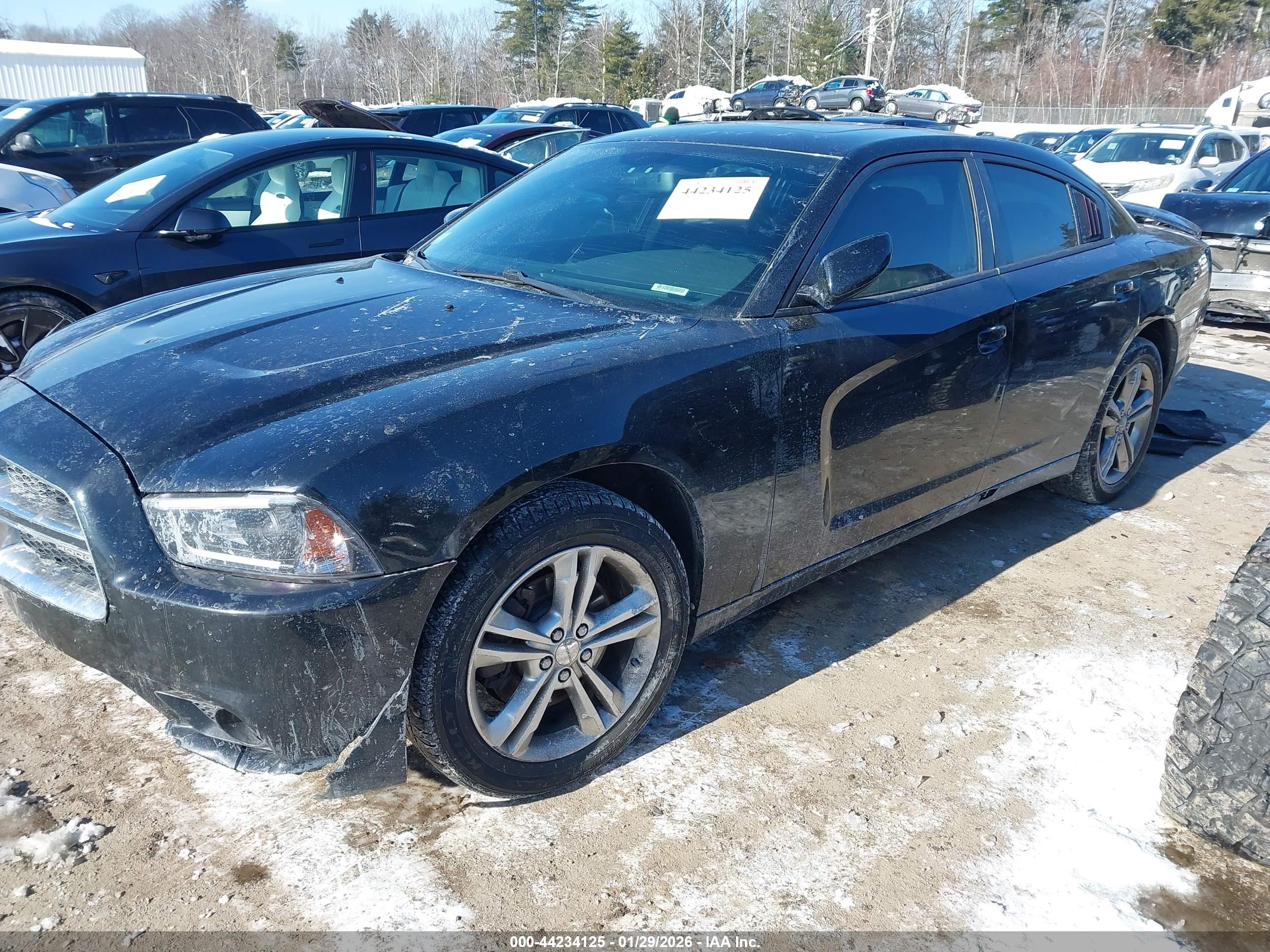 DODGE CHARGER image 2