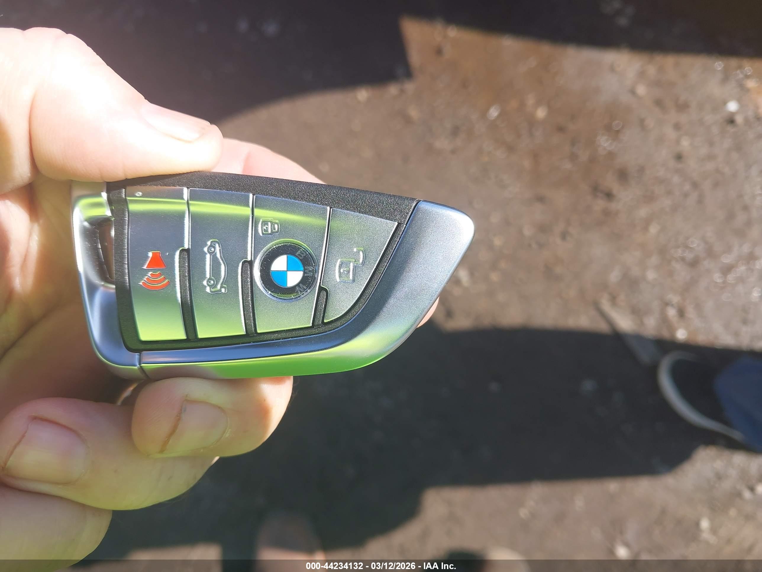 BMW X7 image 11