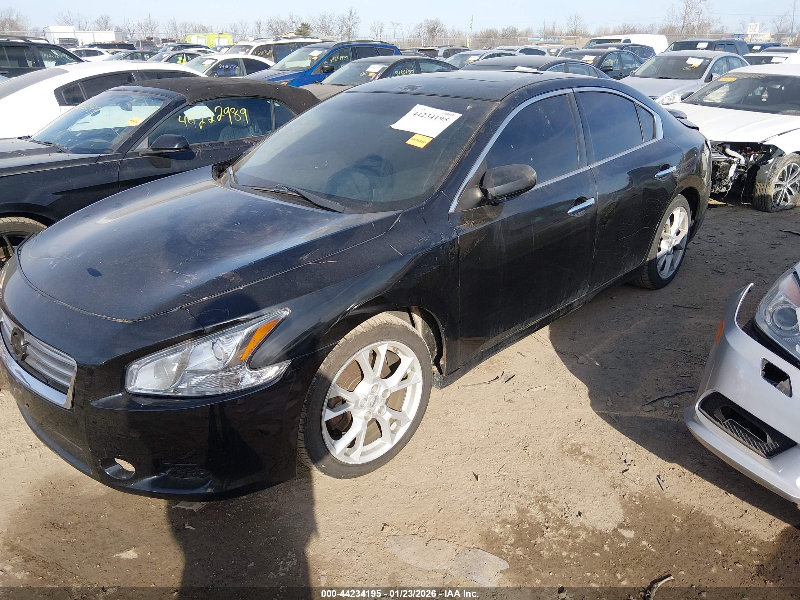 NISSAN MAXIMA image 2
