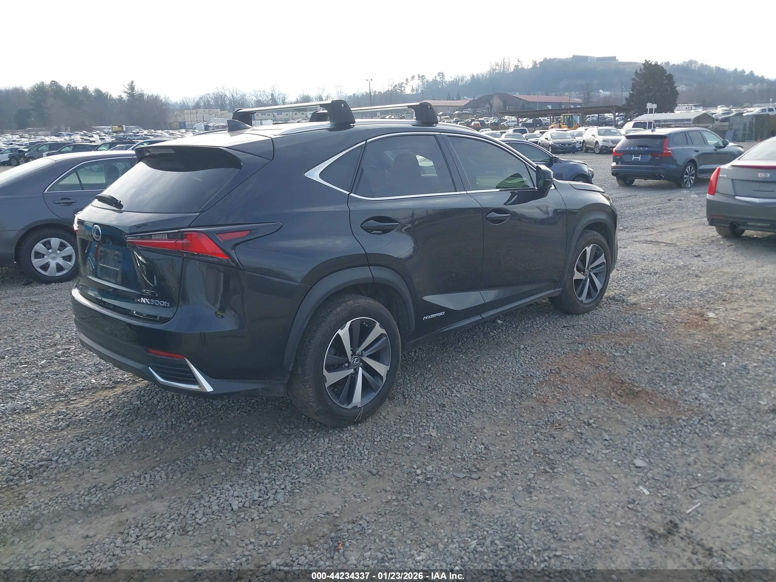 LEXUS NX image 4