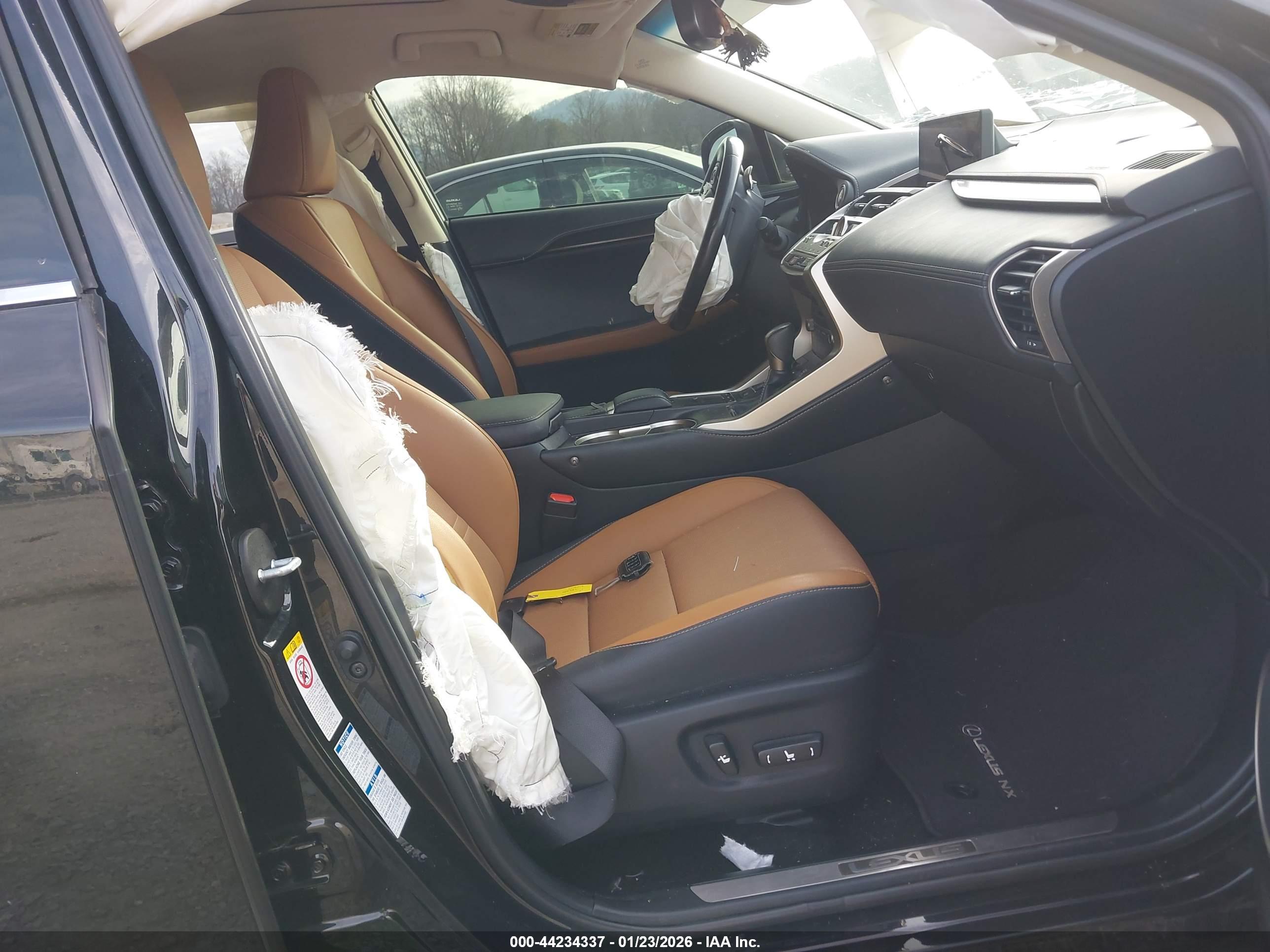 LEXUS NX image 5