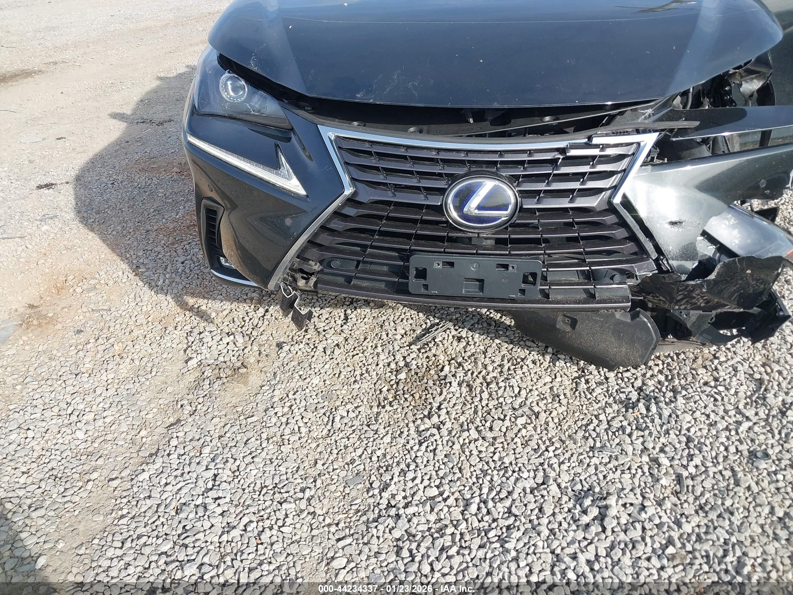 LEXUS NX image 6