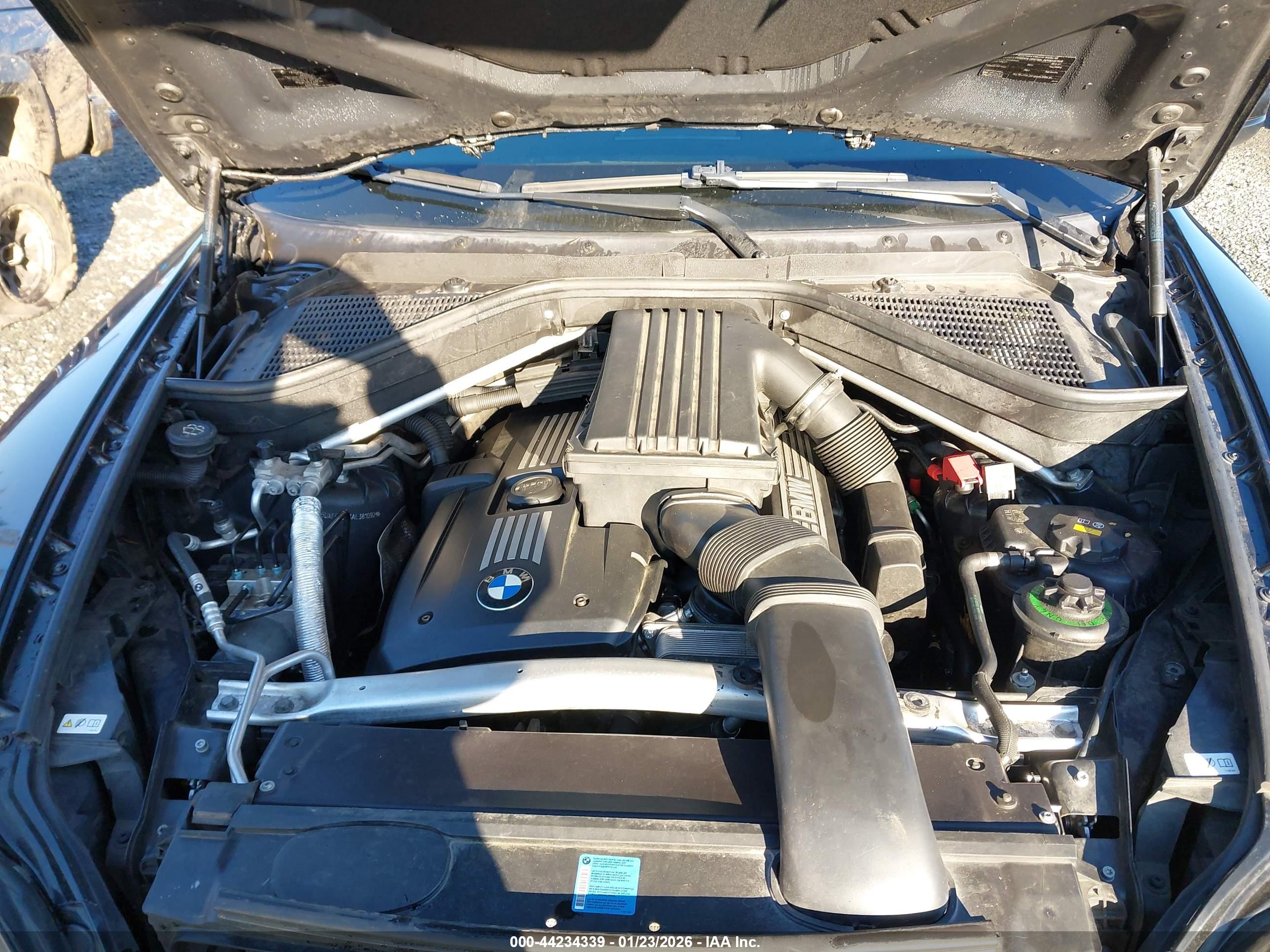 BMW X5 image 10
