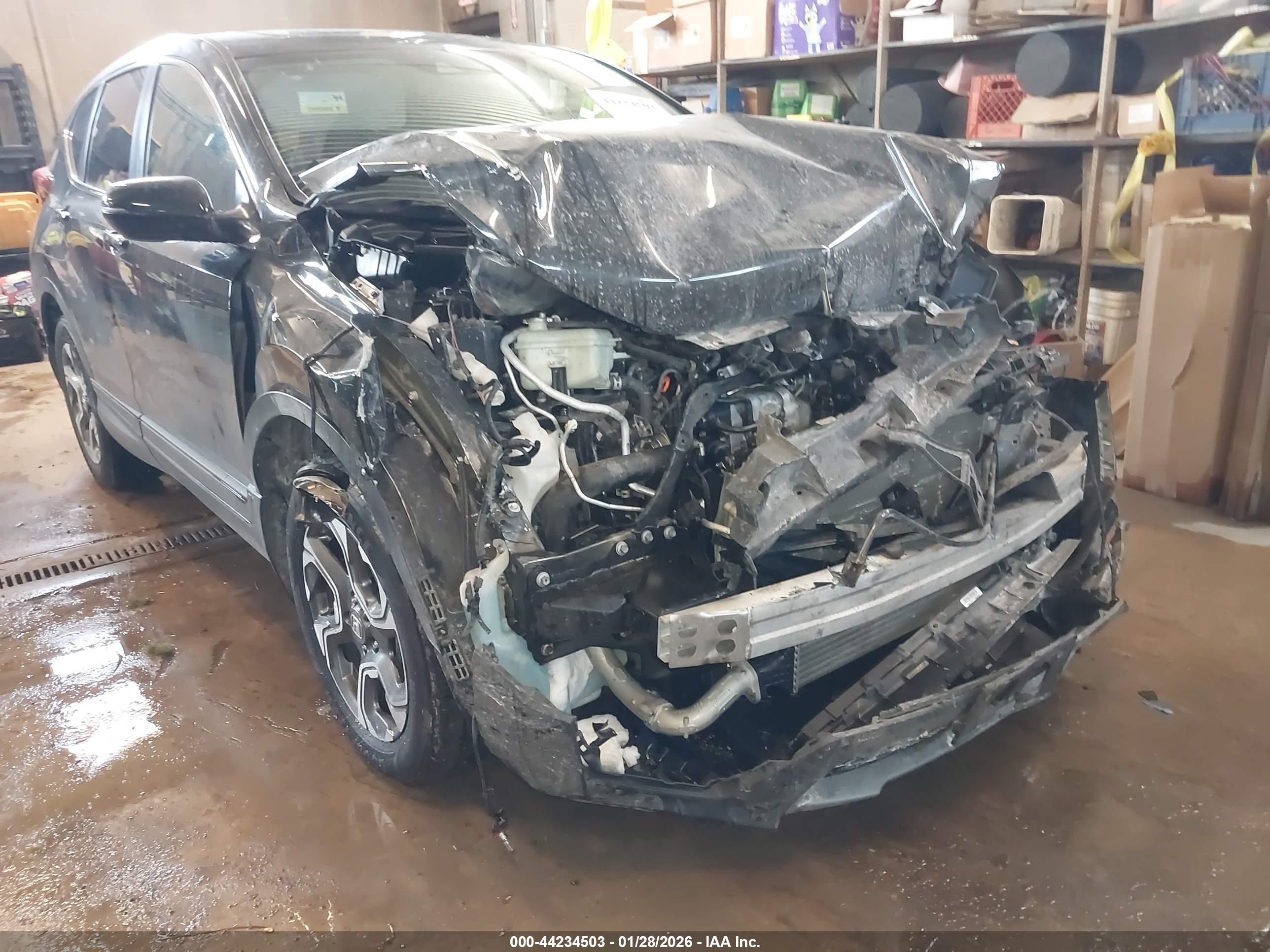 HONDA CR-V image 6
