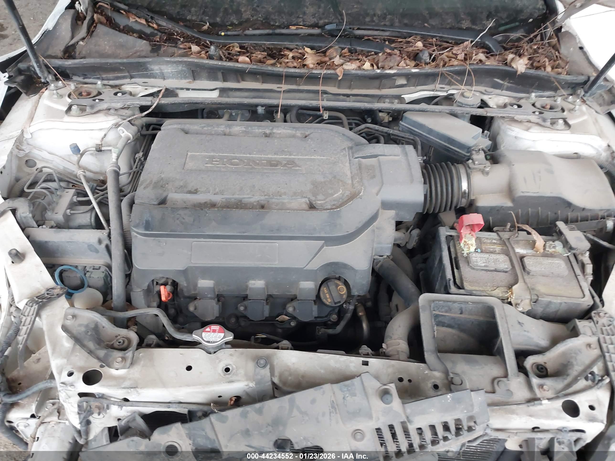 HONDA ACCORD image 10