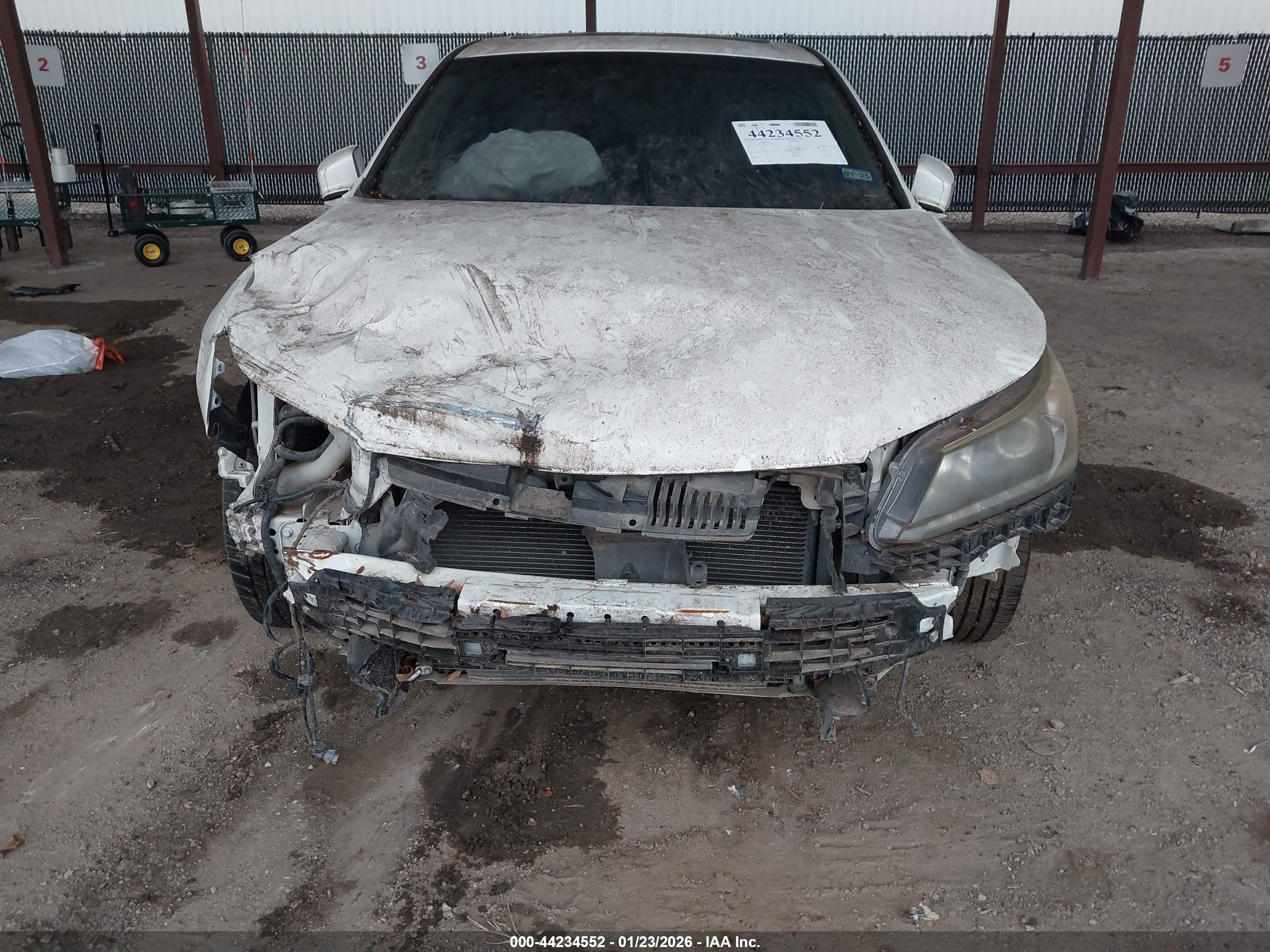 HONDA ACCORD image 6