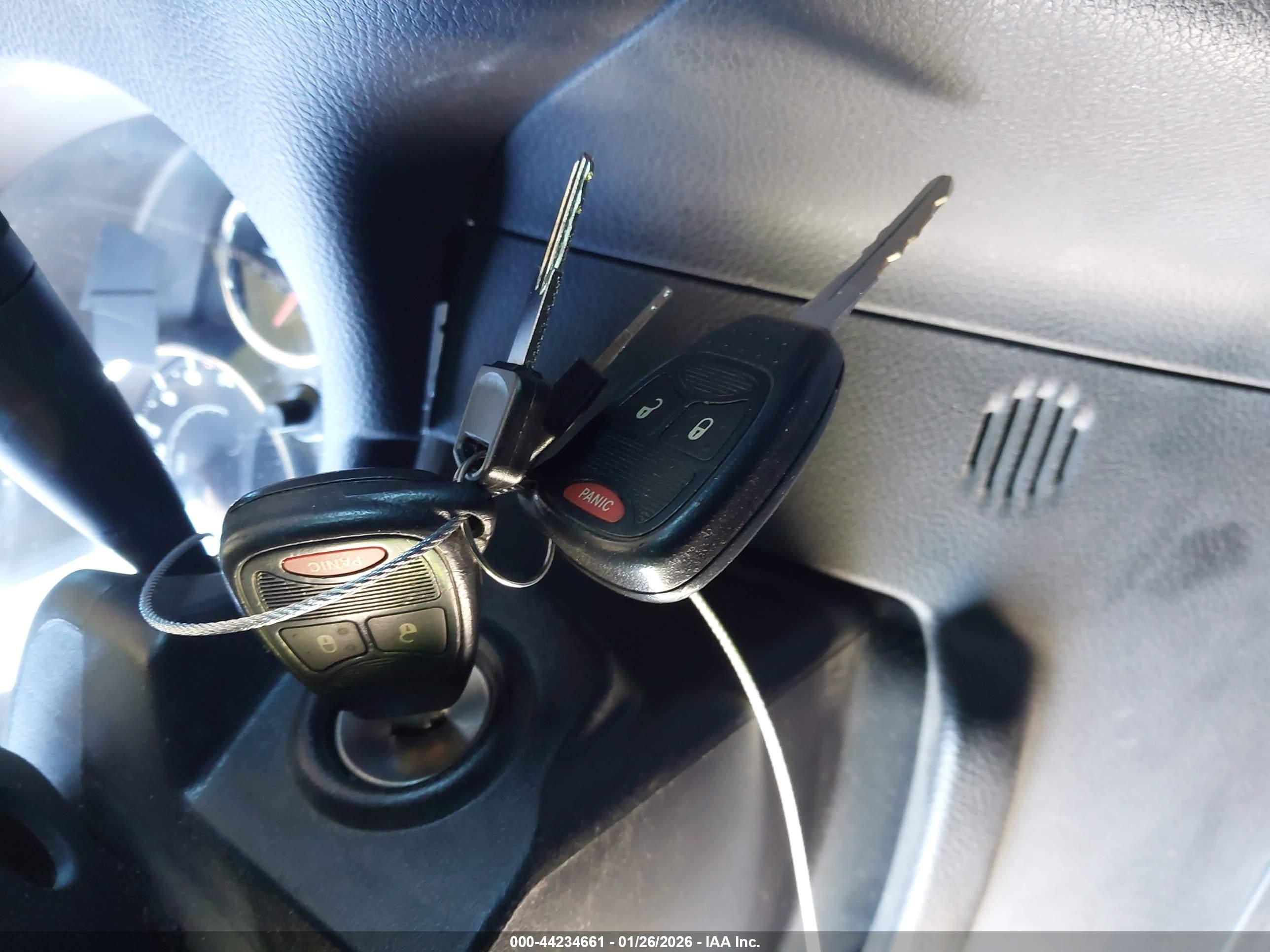 JEEP WRANGLER image 11