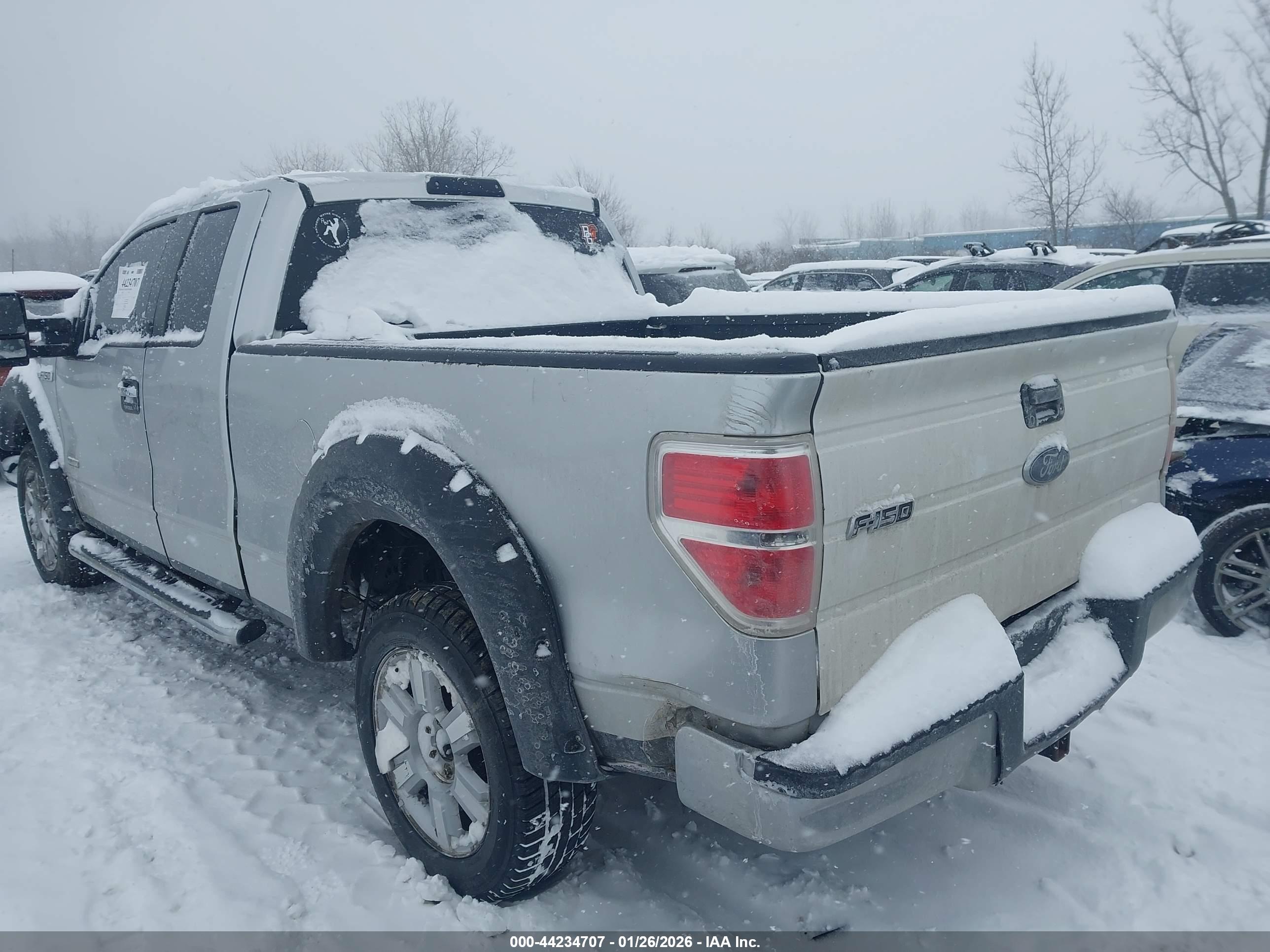FORD F-150 image 3