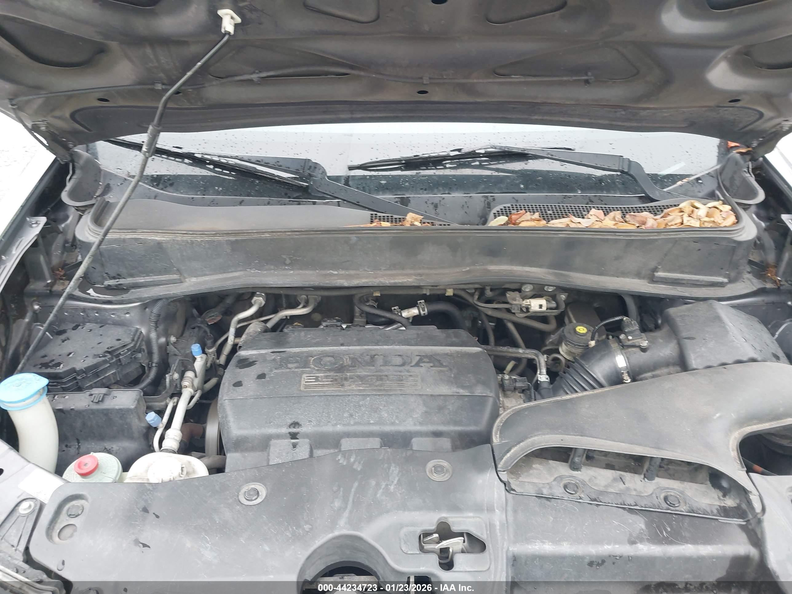HONDA PILOT image 10