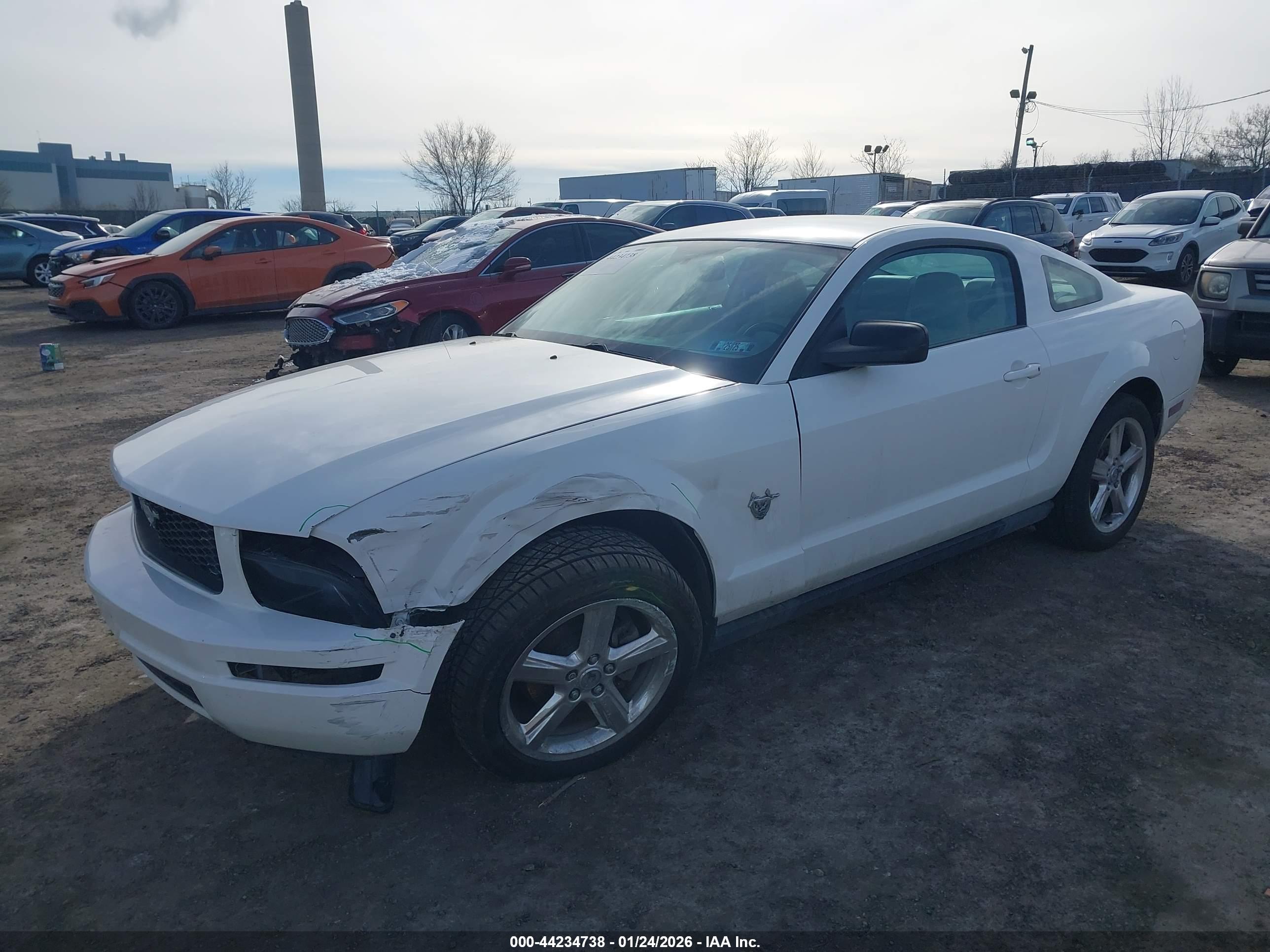 FORD MUSTANG image 2