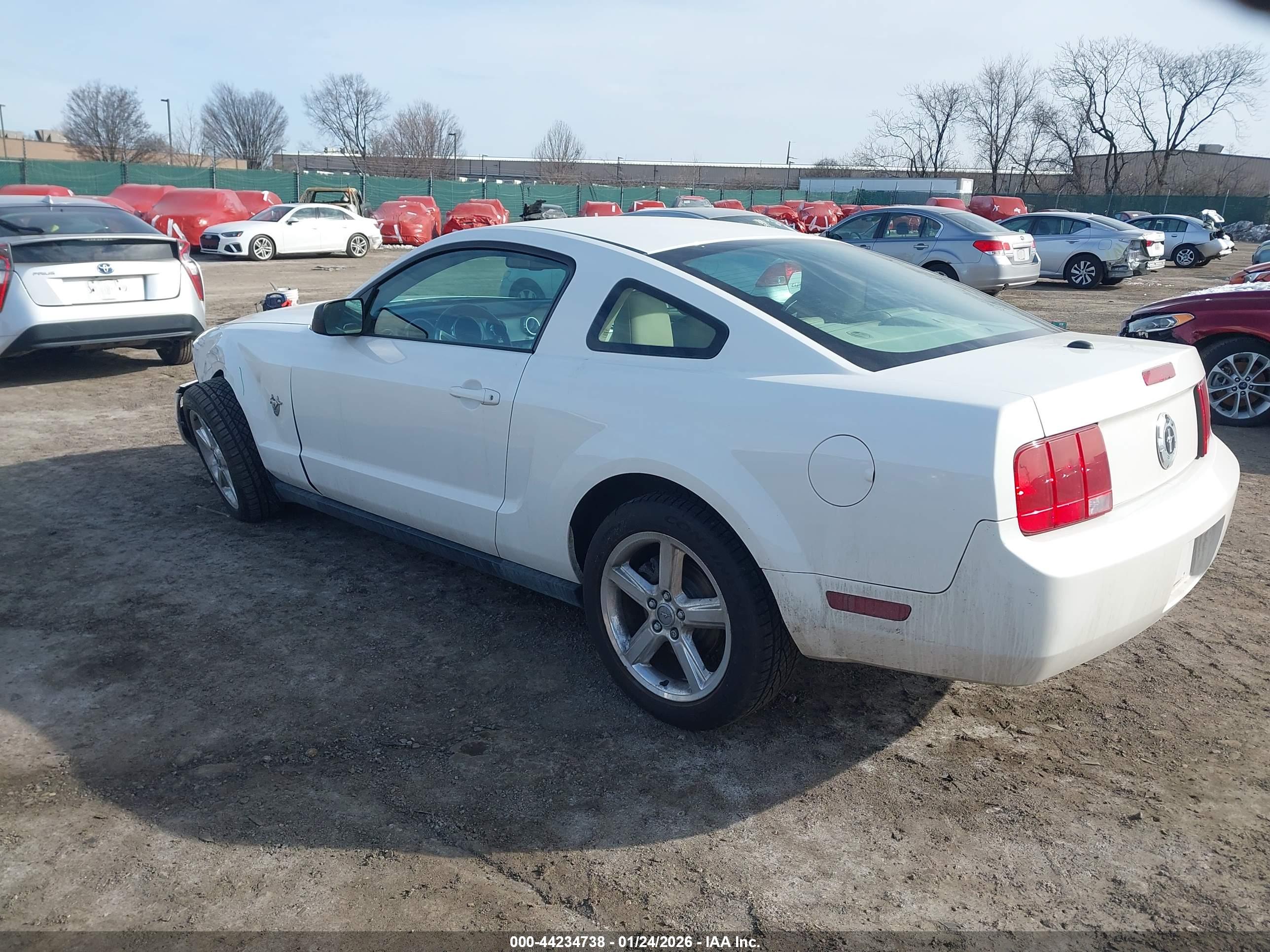 FORD MUSTANG image 3