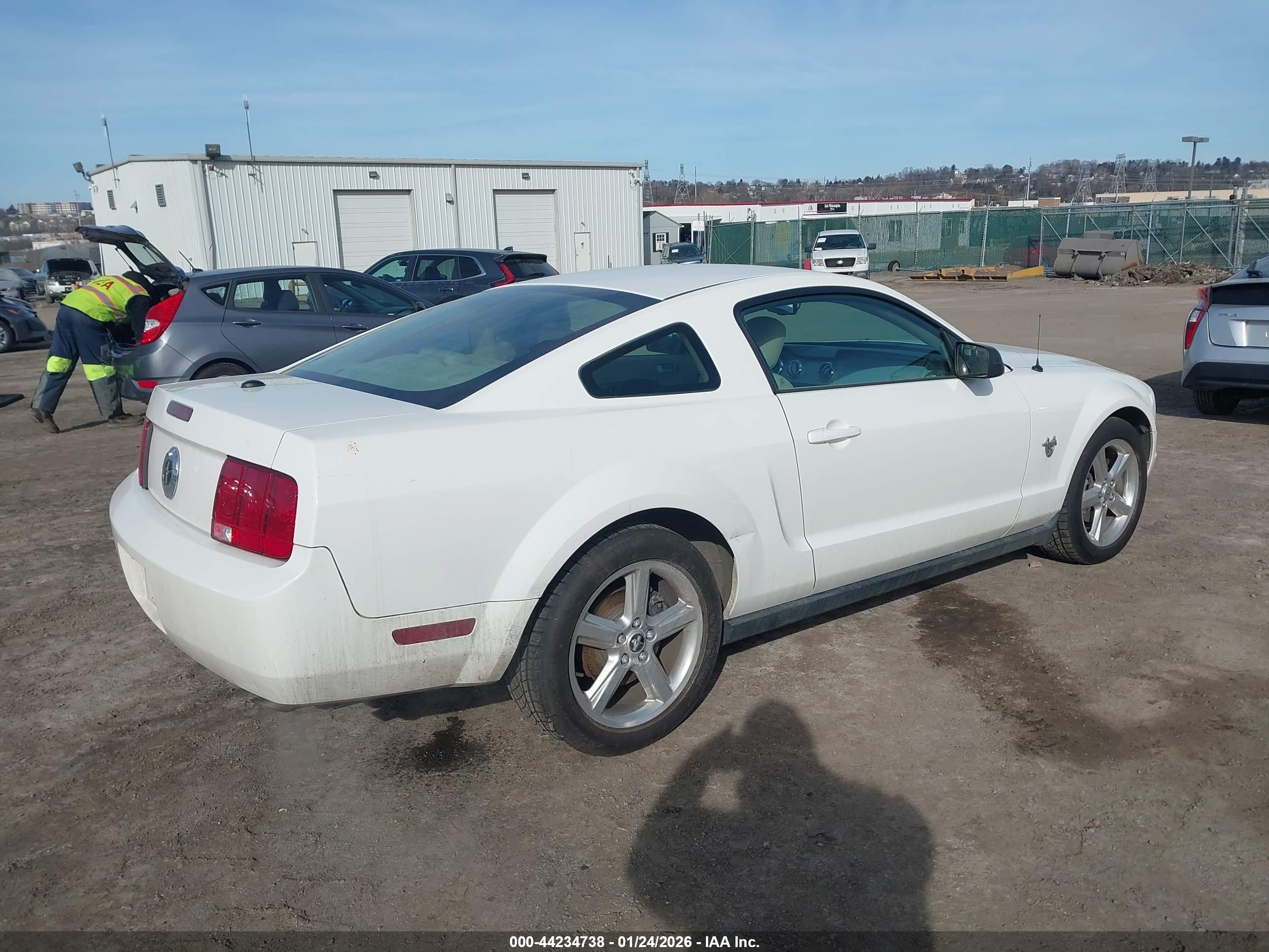FORD MUSTANG image 4