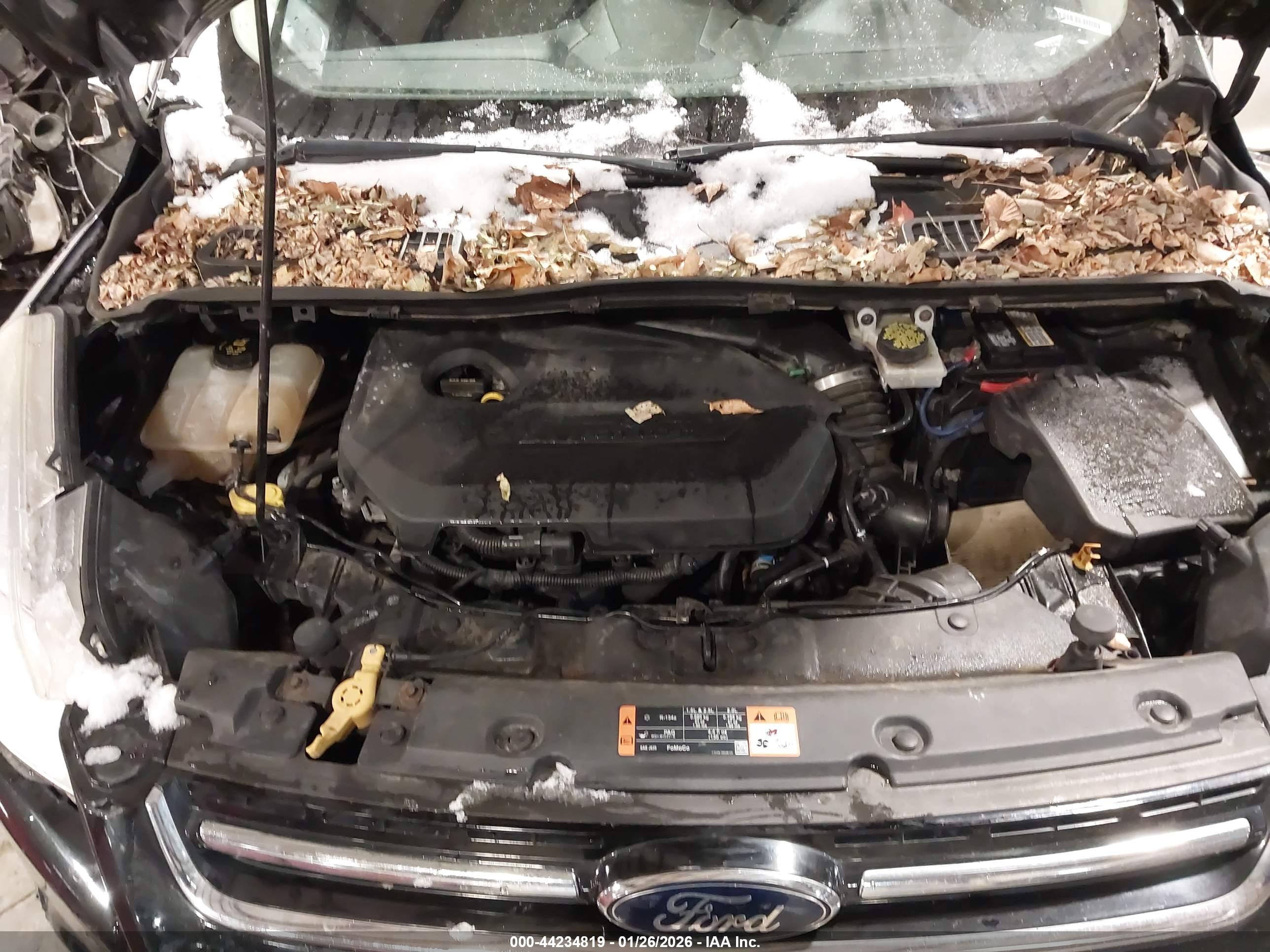 FORD ESCAPE image 10