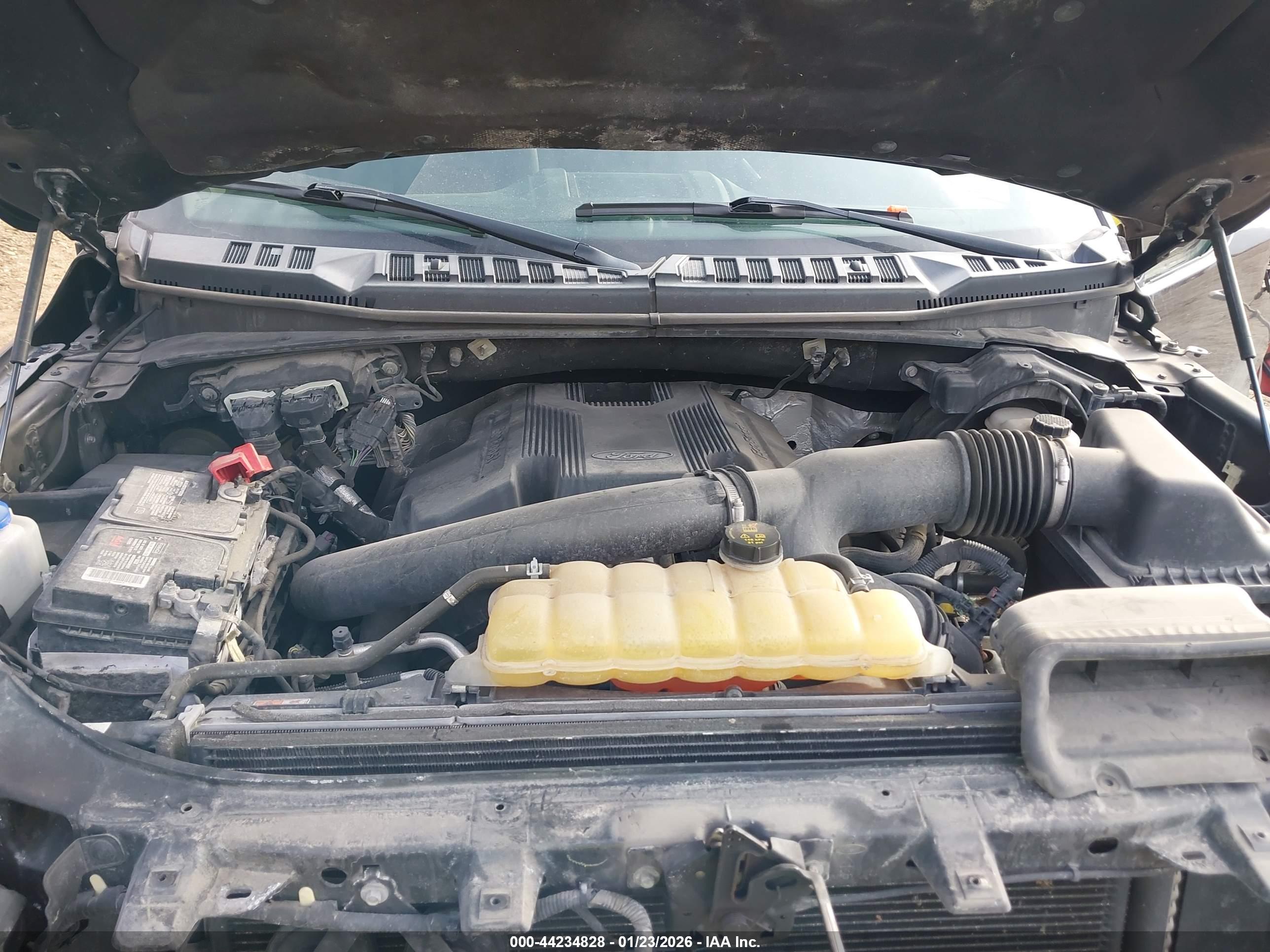 FORD F-150 image 10