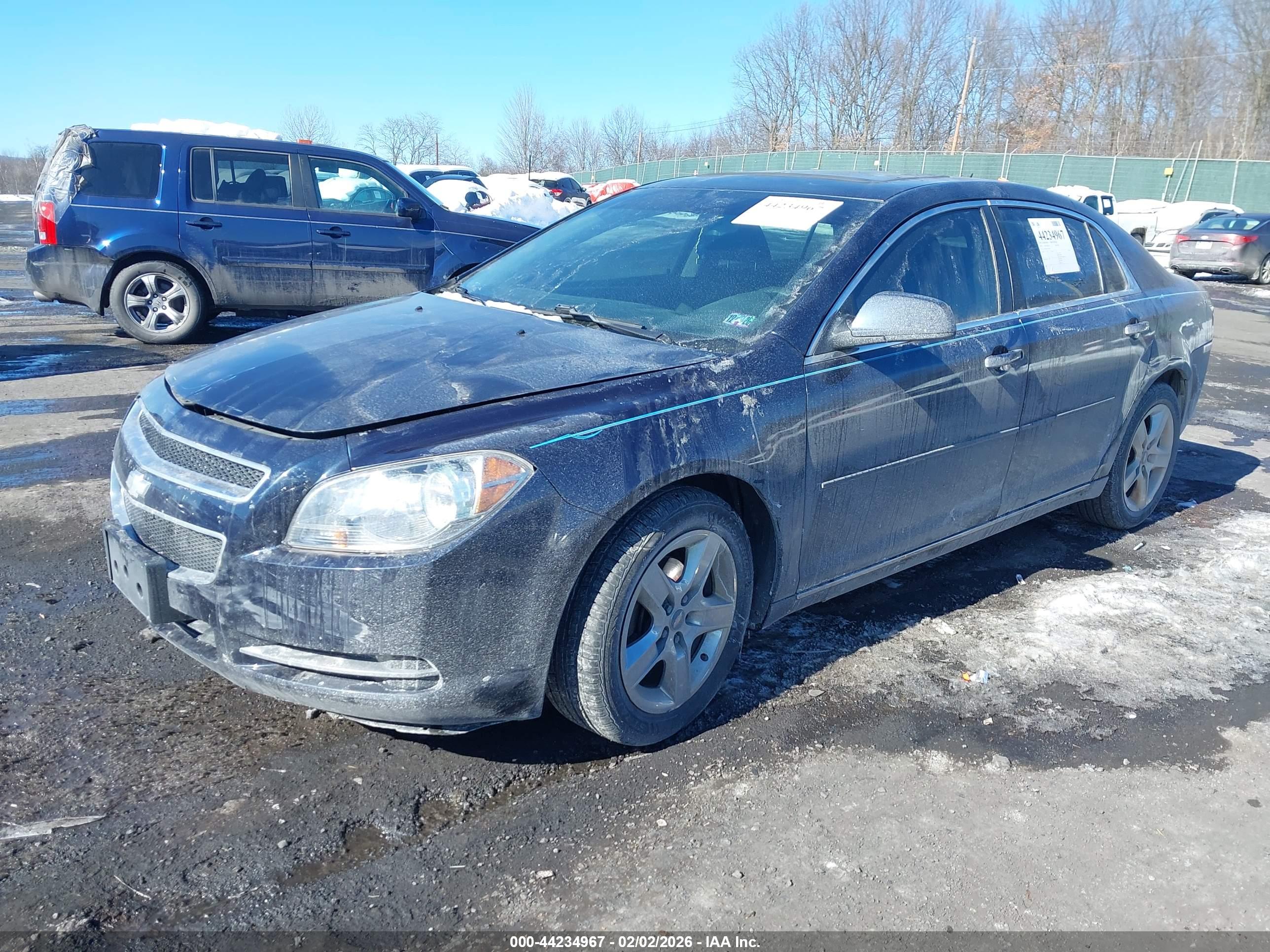 CHEVROLET MALIBU image 2