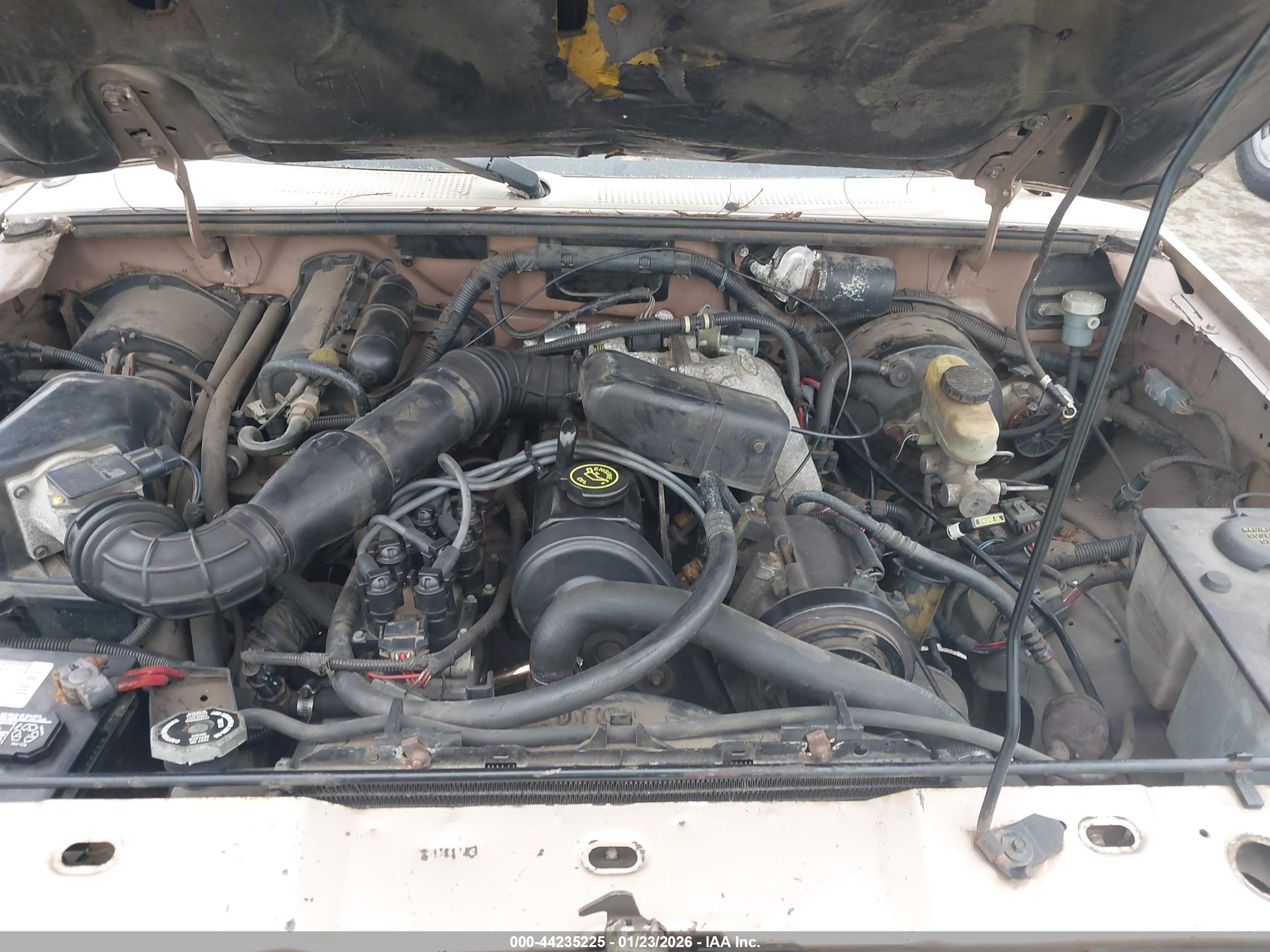 FORD RANGER image 10