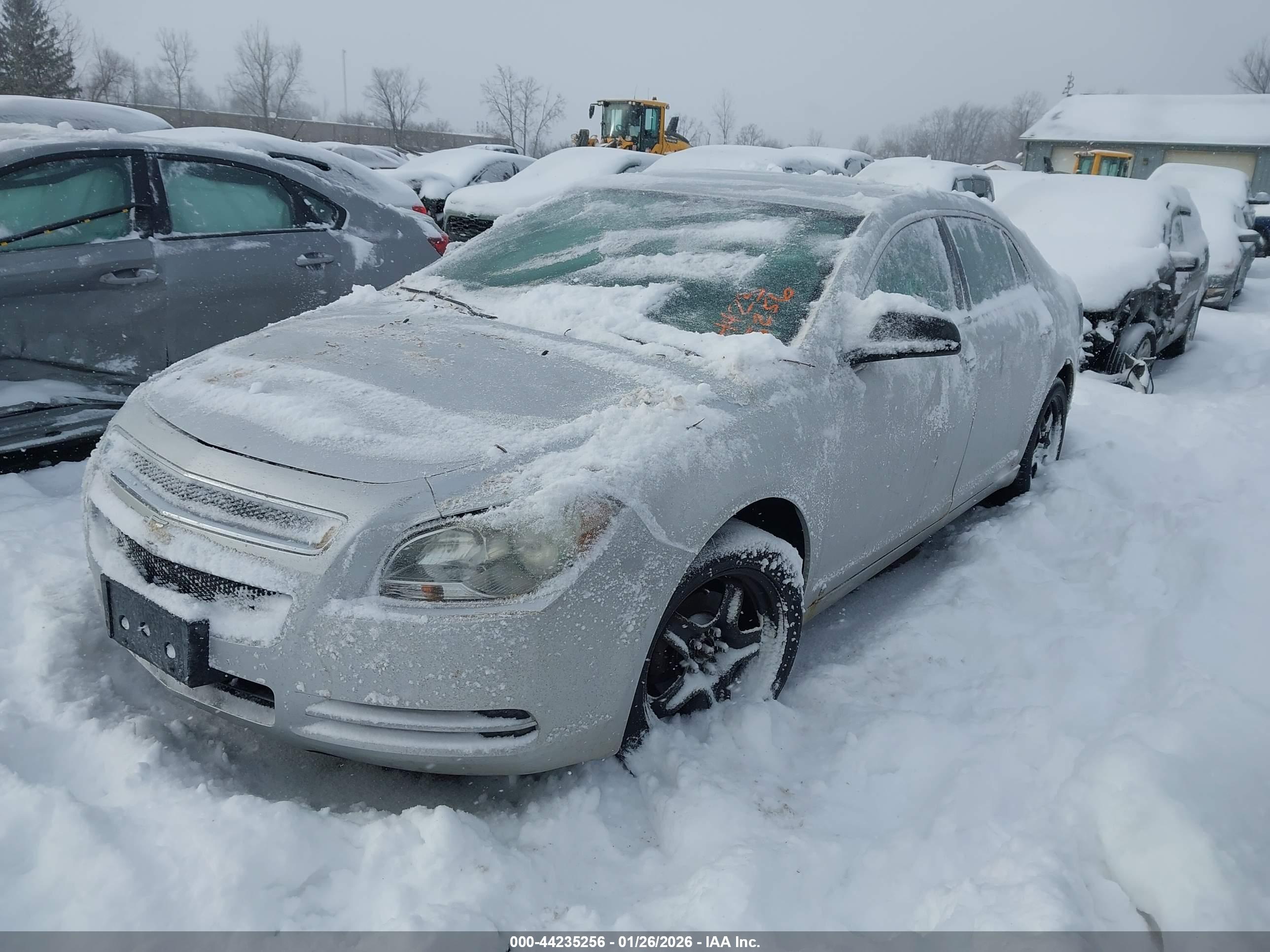 CHEVROLET MALIBU image 2