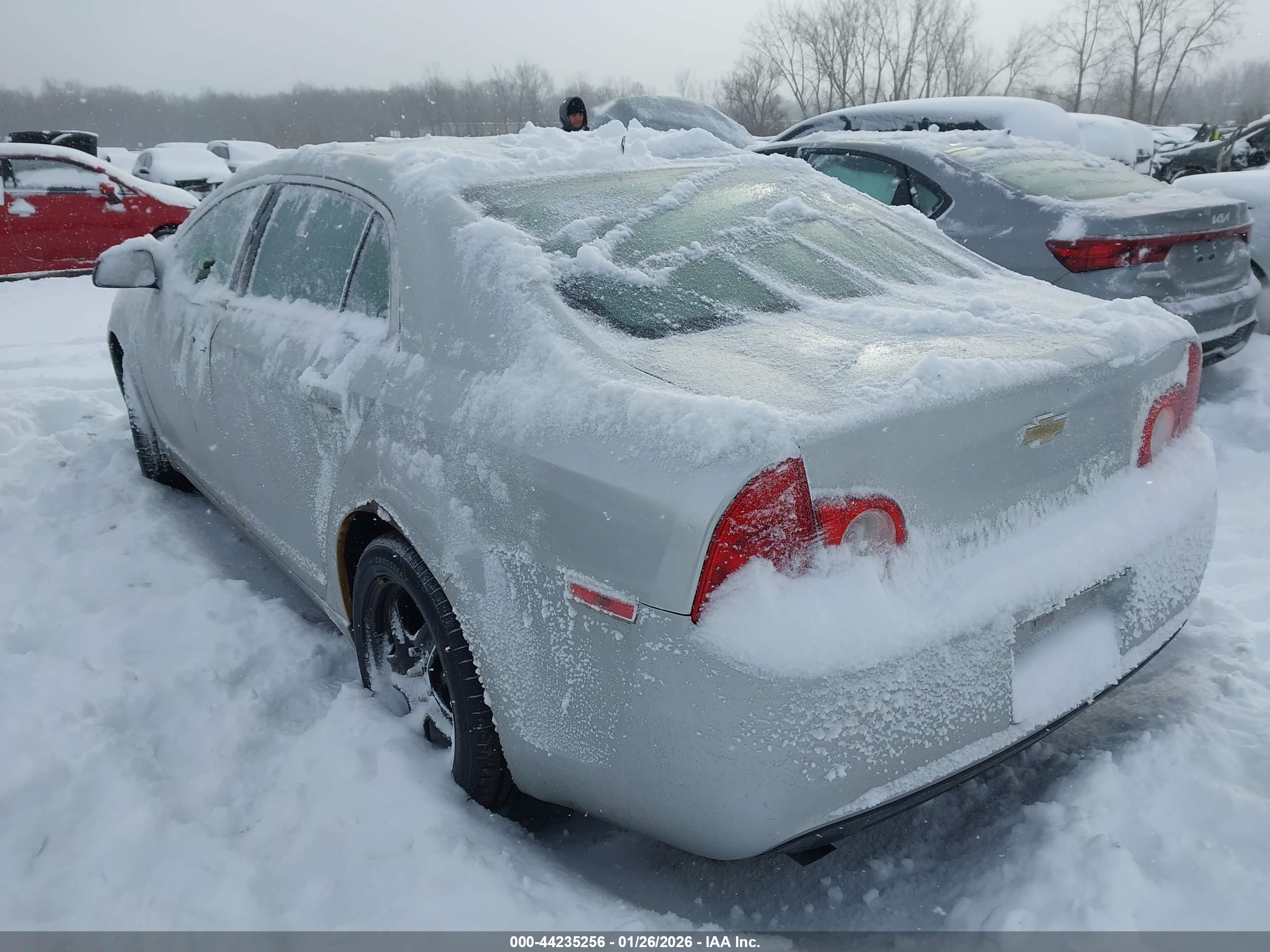 CHEVROLET MALIBU image 3