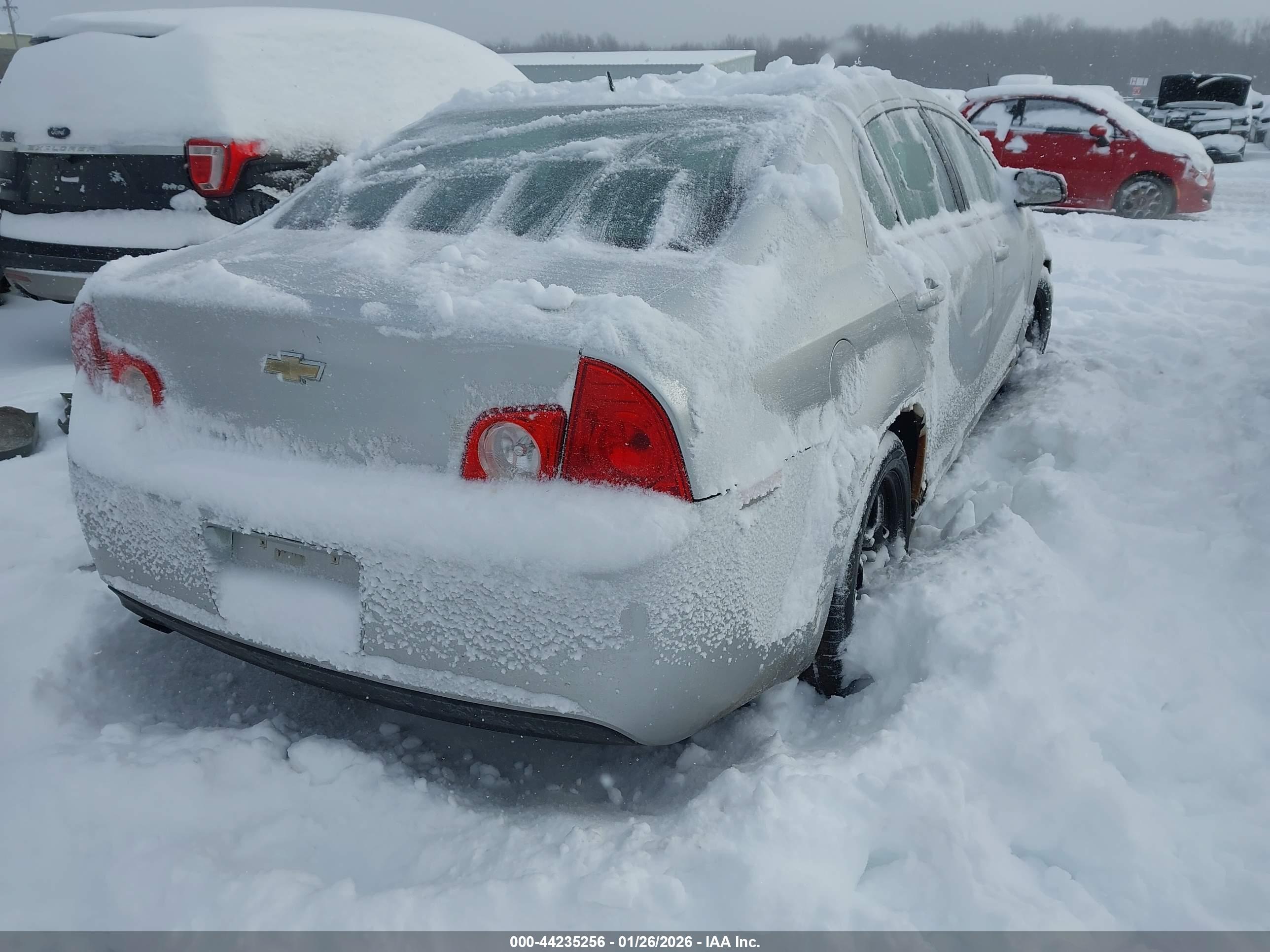 CHEVROLET MALIBU image 4