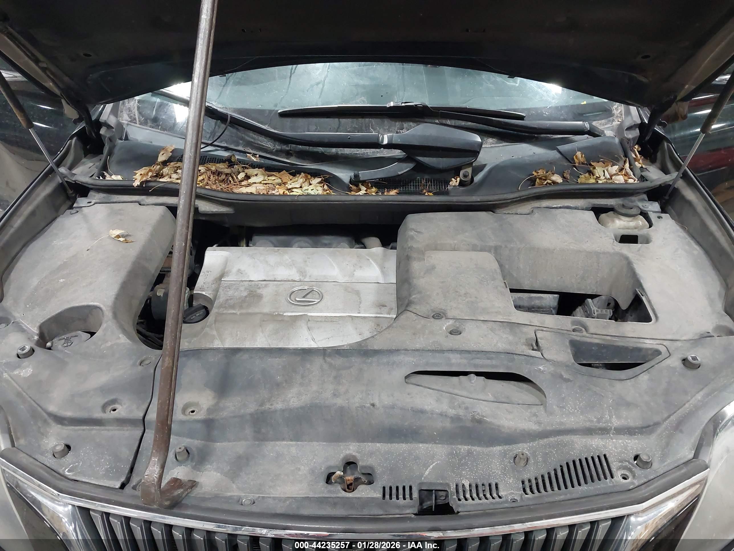 LEXUS RX image 10