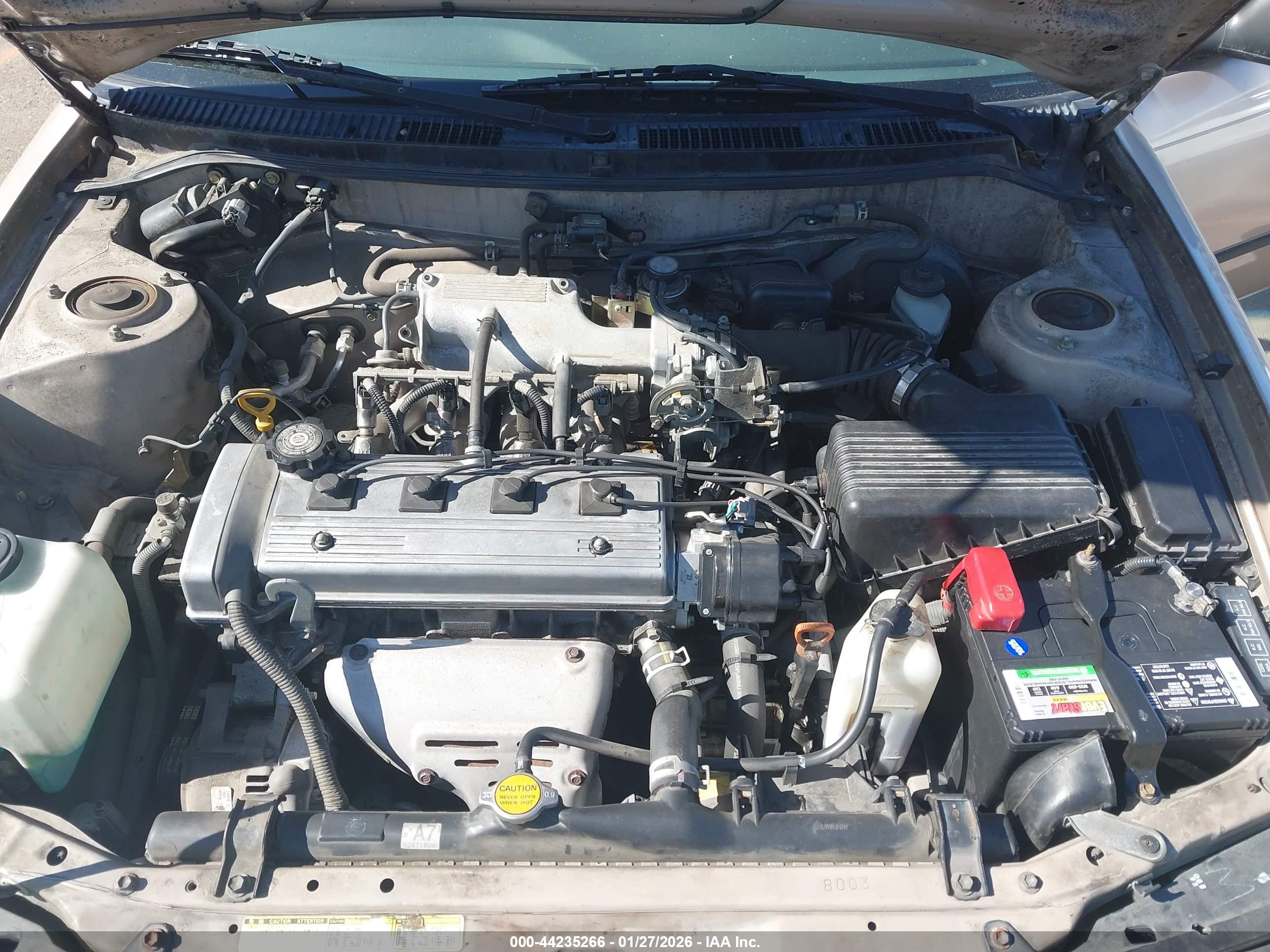 TOYOTA COROLLA image 10