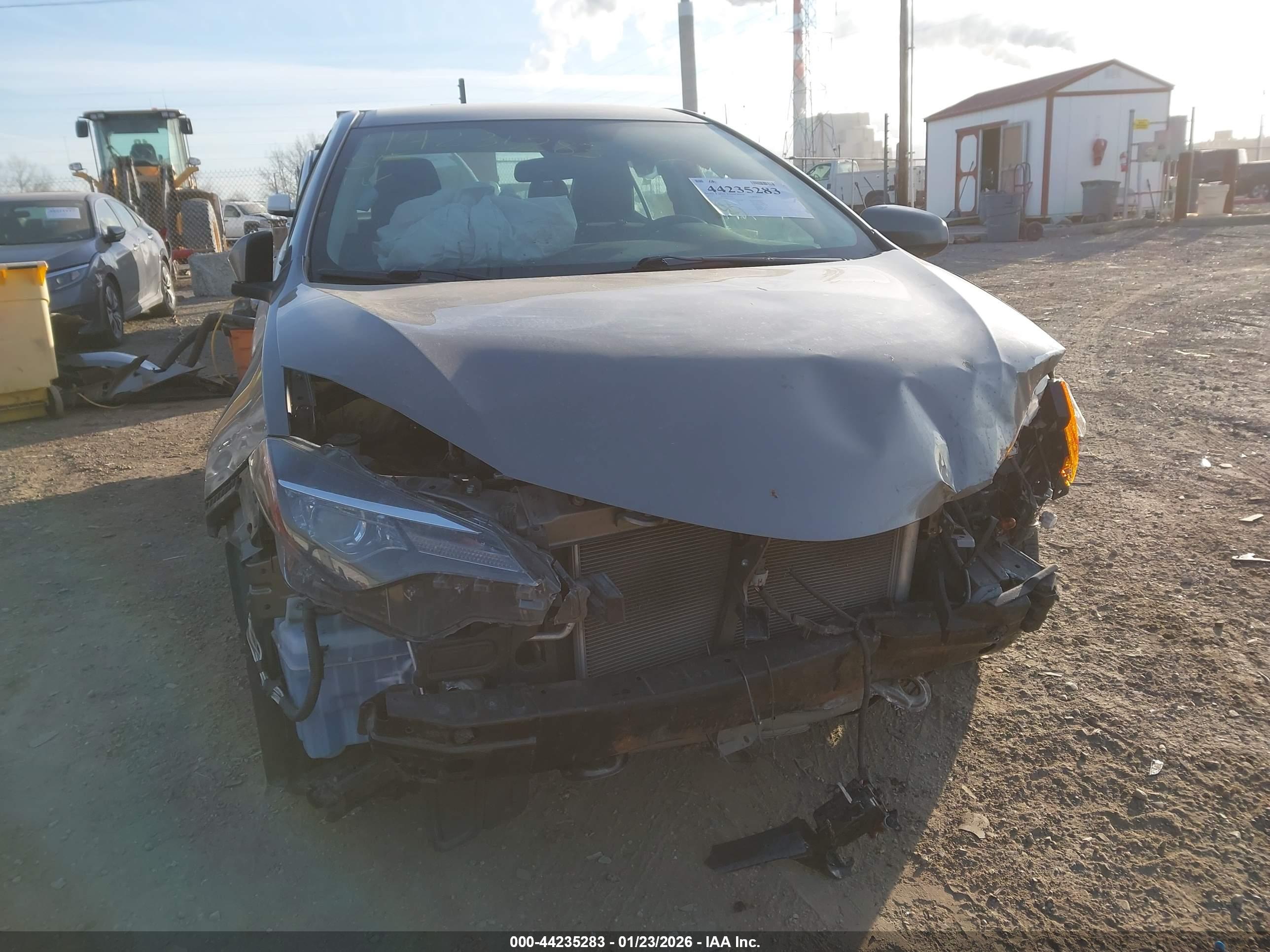 TOYOTA COROLLA image 6