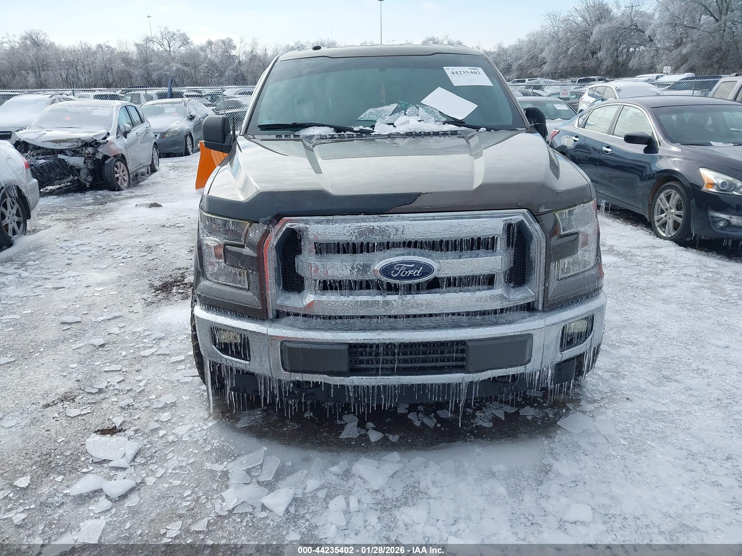 FORD F-150 image 6