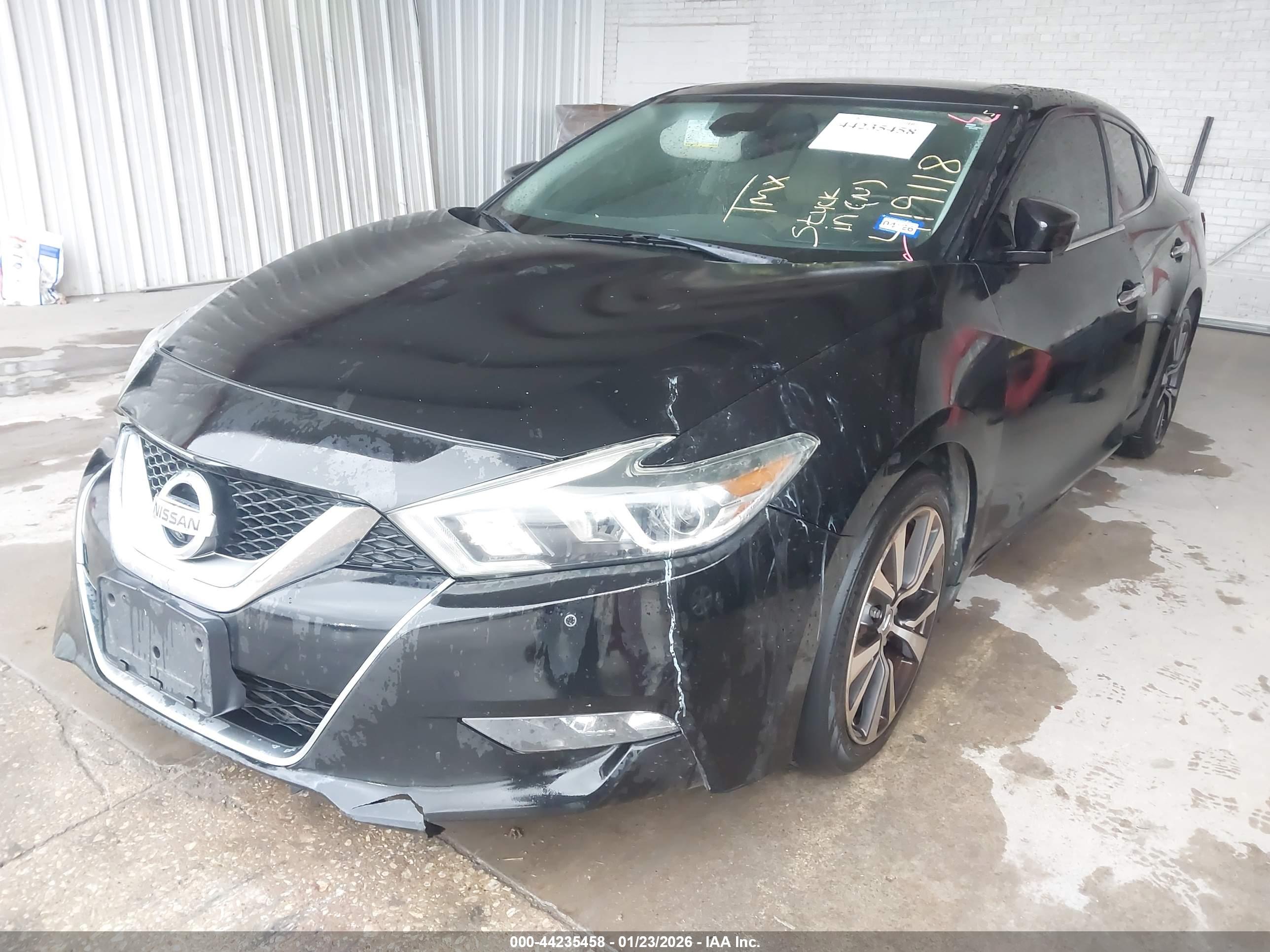 NISSAN MAXIMA image 2