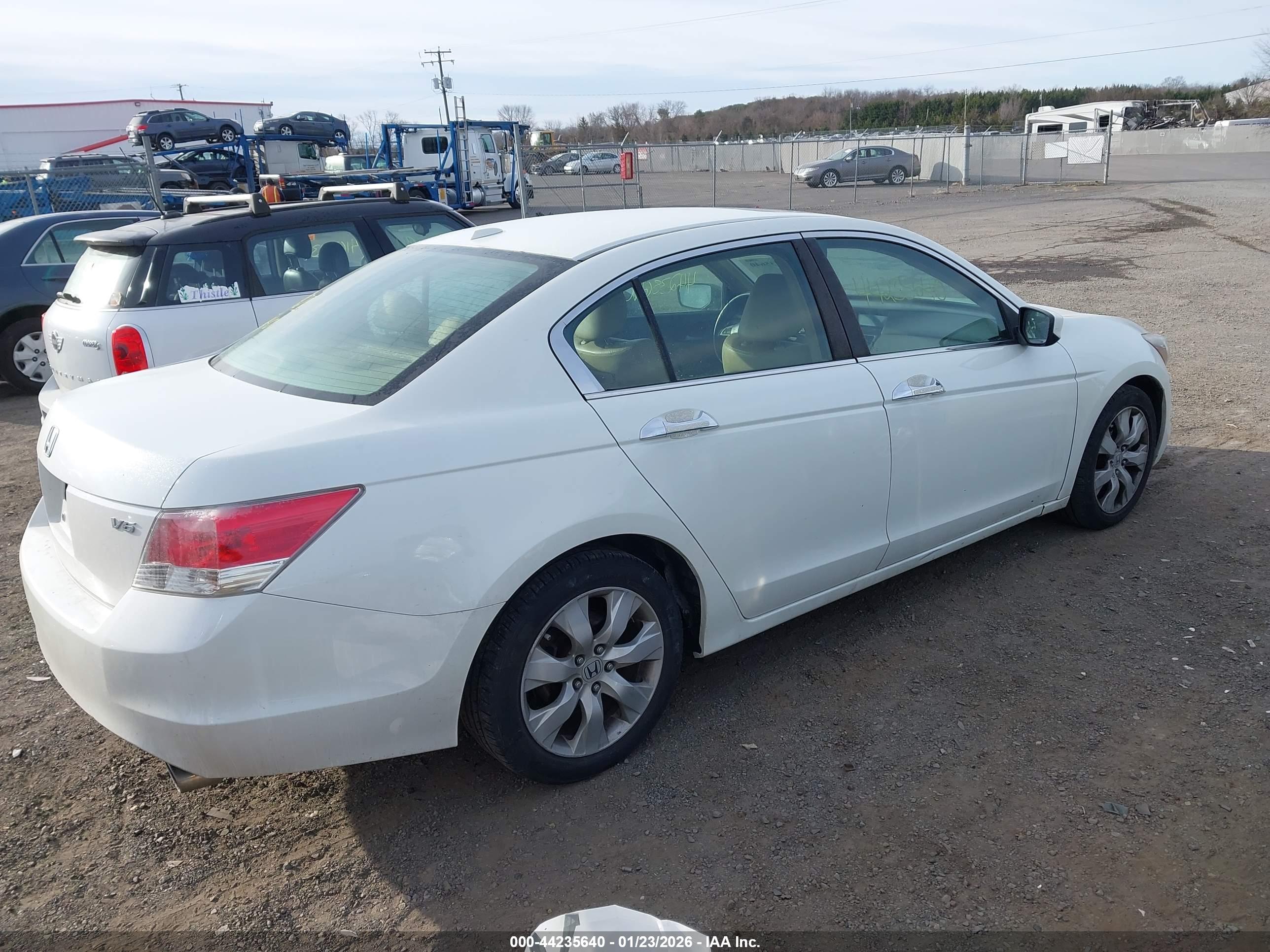 HONDA ACCORD image 4