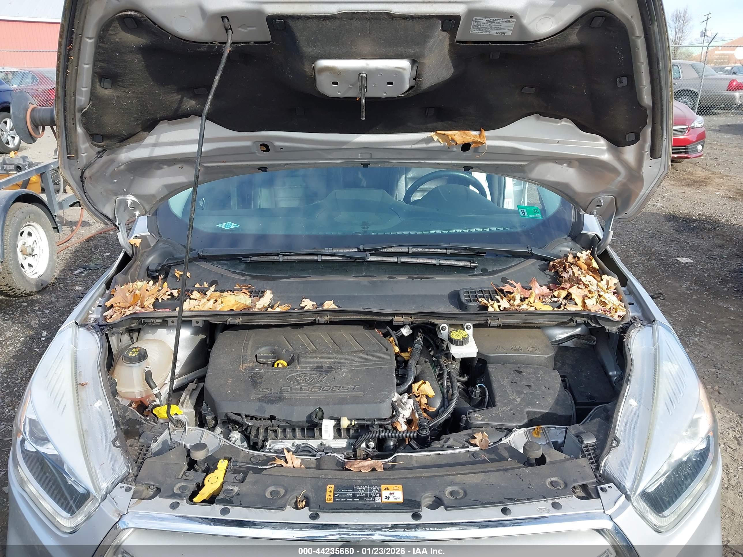 FORD ESCAPE image 10