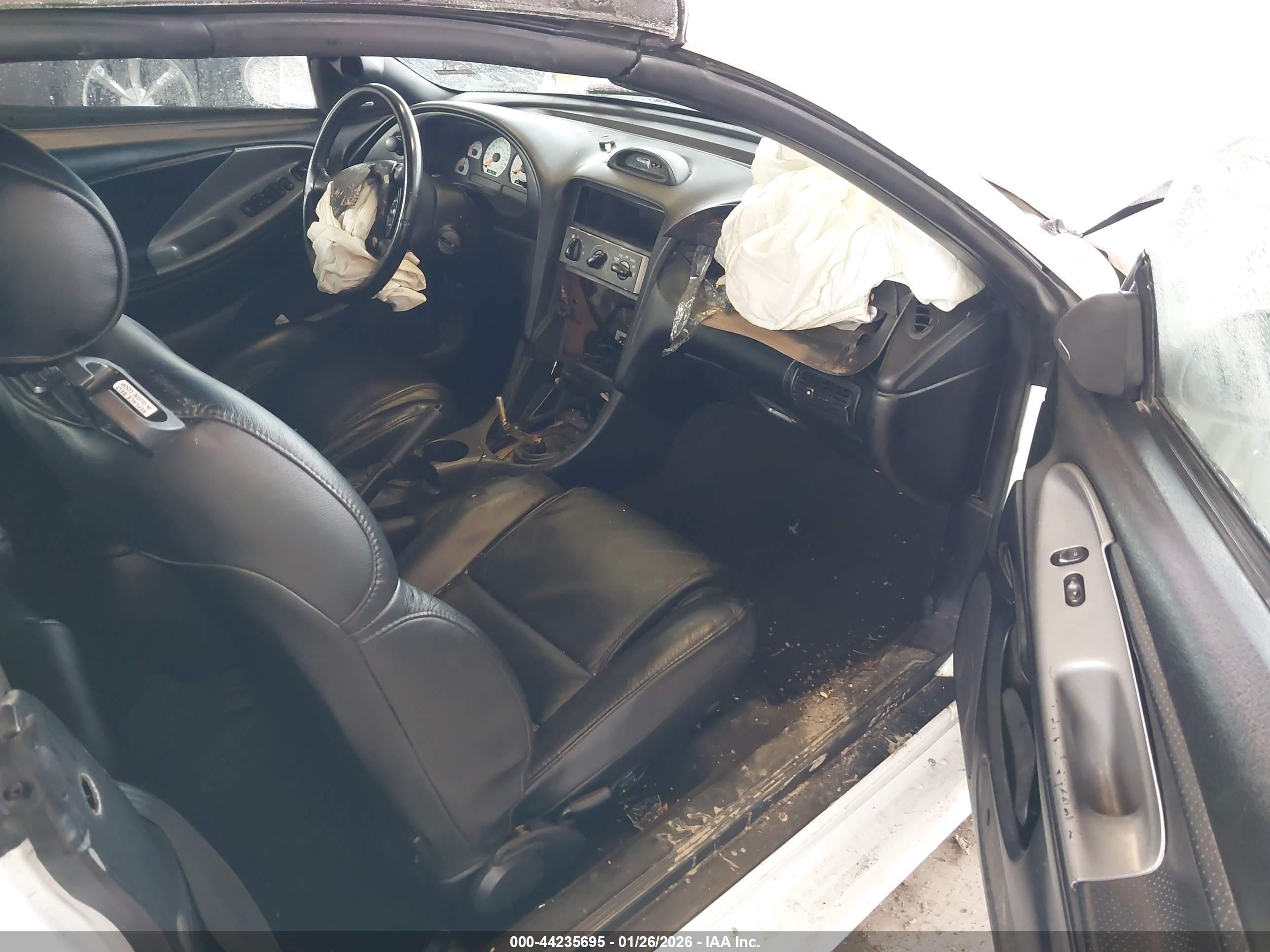 FORD MUSTANG image 5