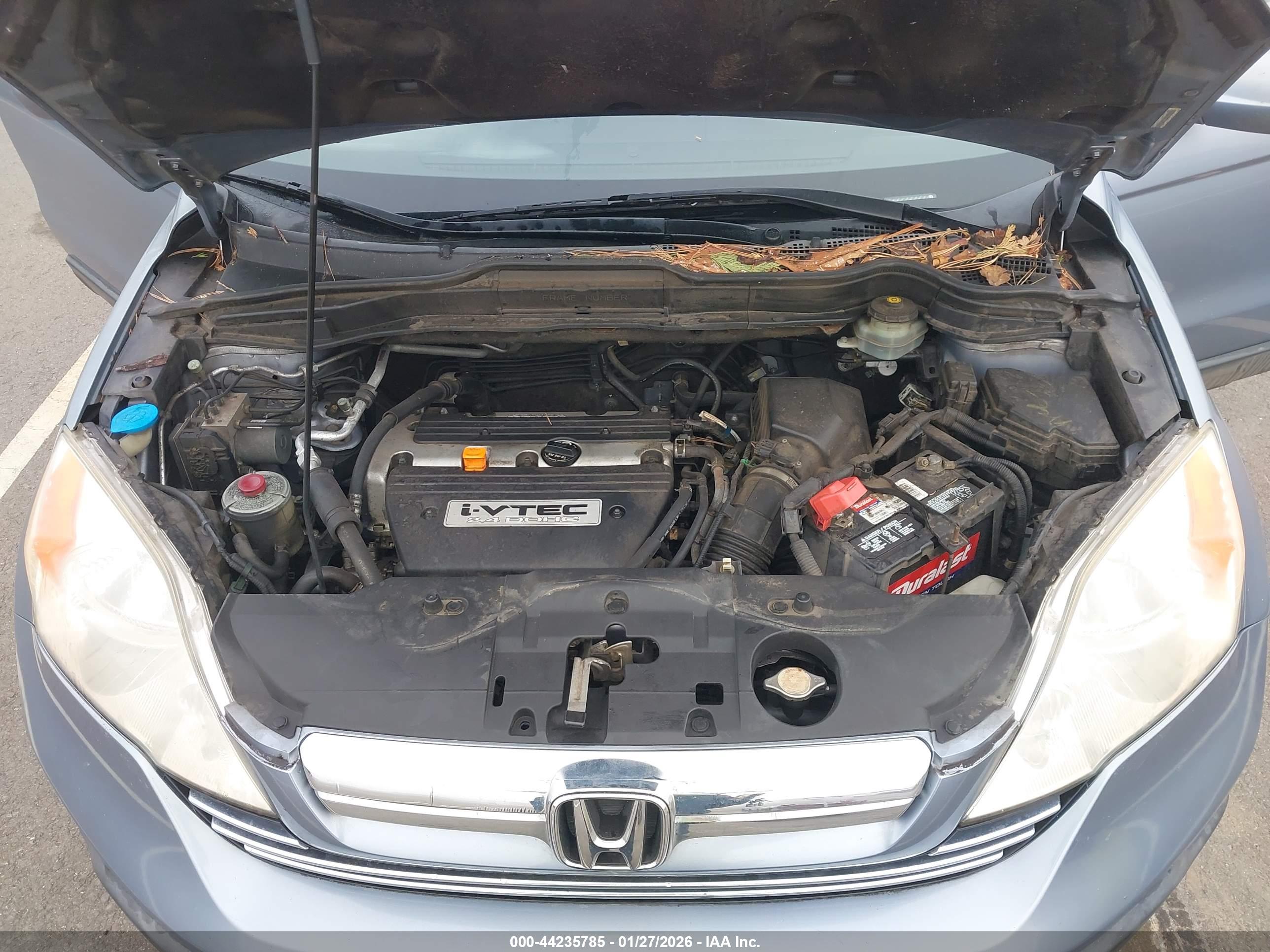 HONDA CR-V image 10