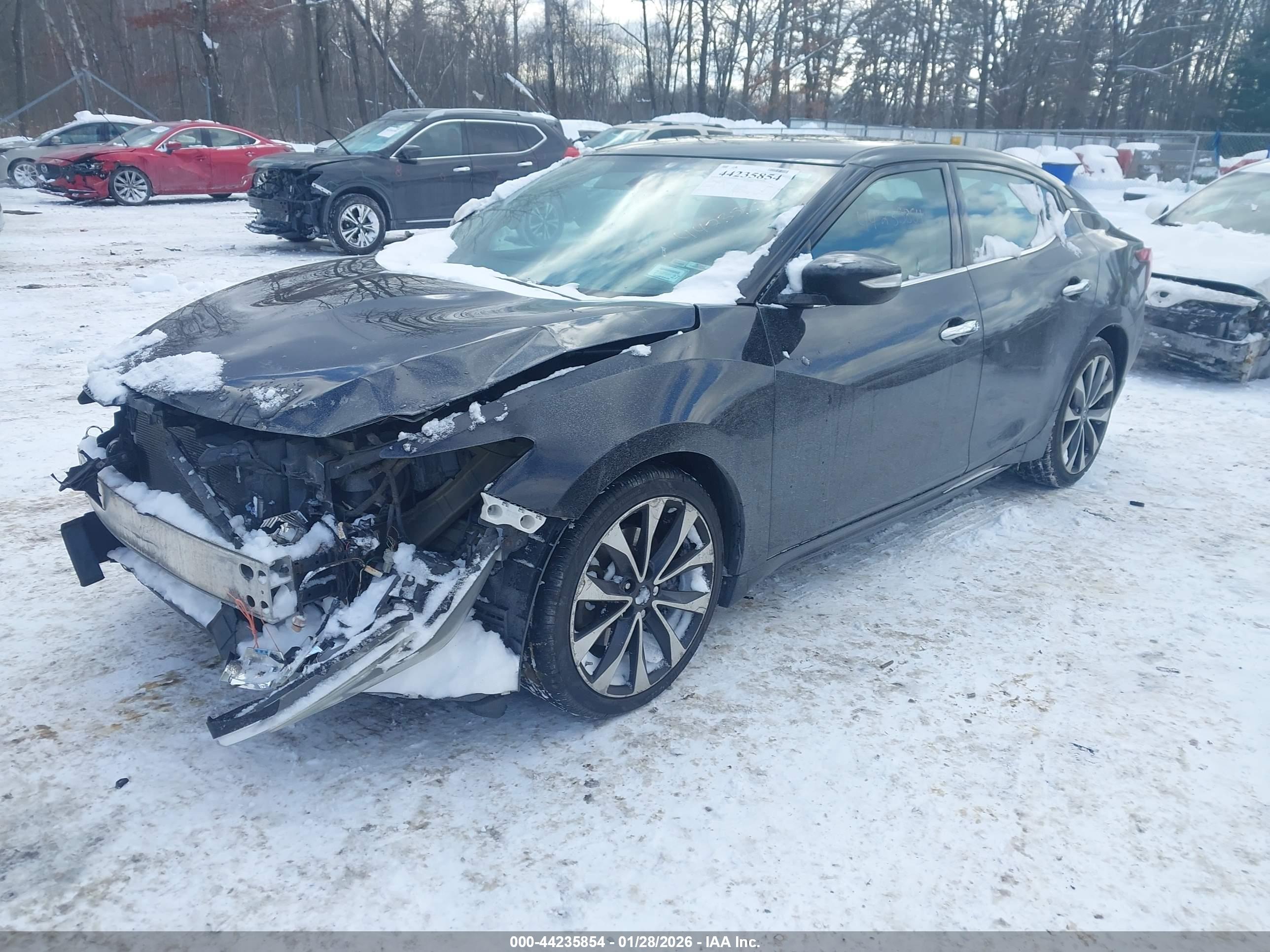 NISSAN MAXIMA image 2