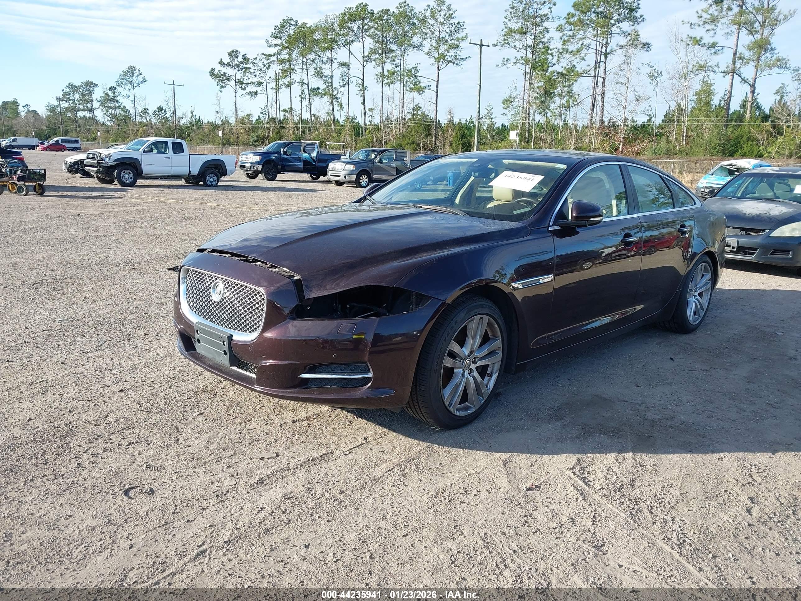 JAGUAR XJ image 2