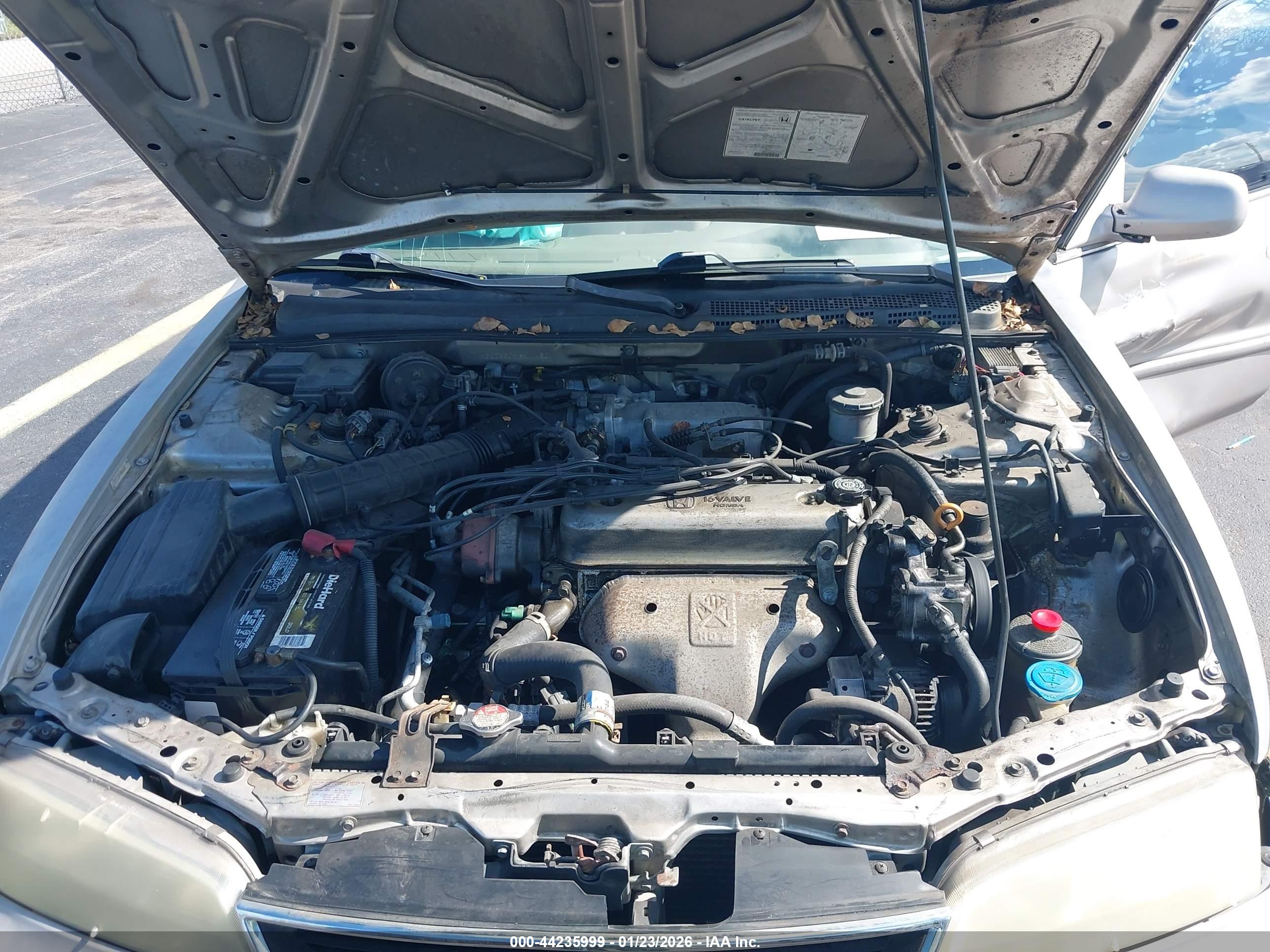 HONDA ACCORD image 10