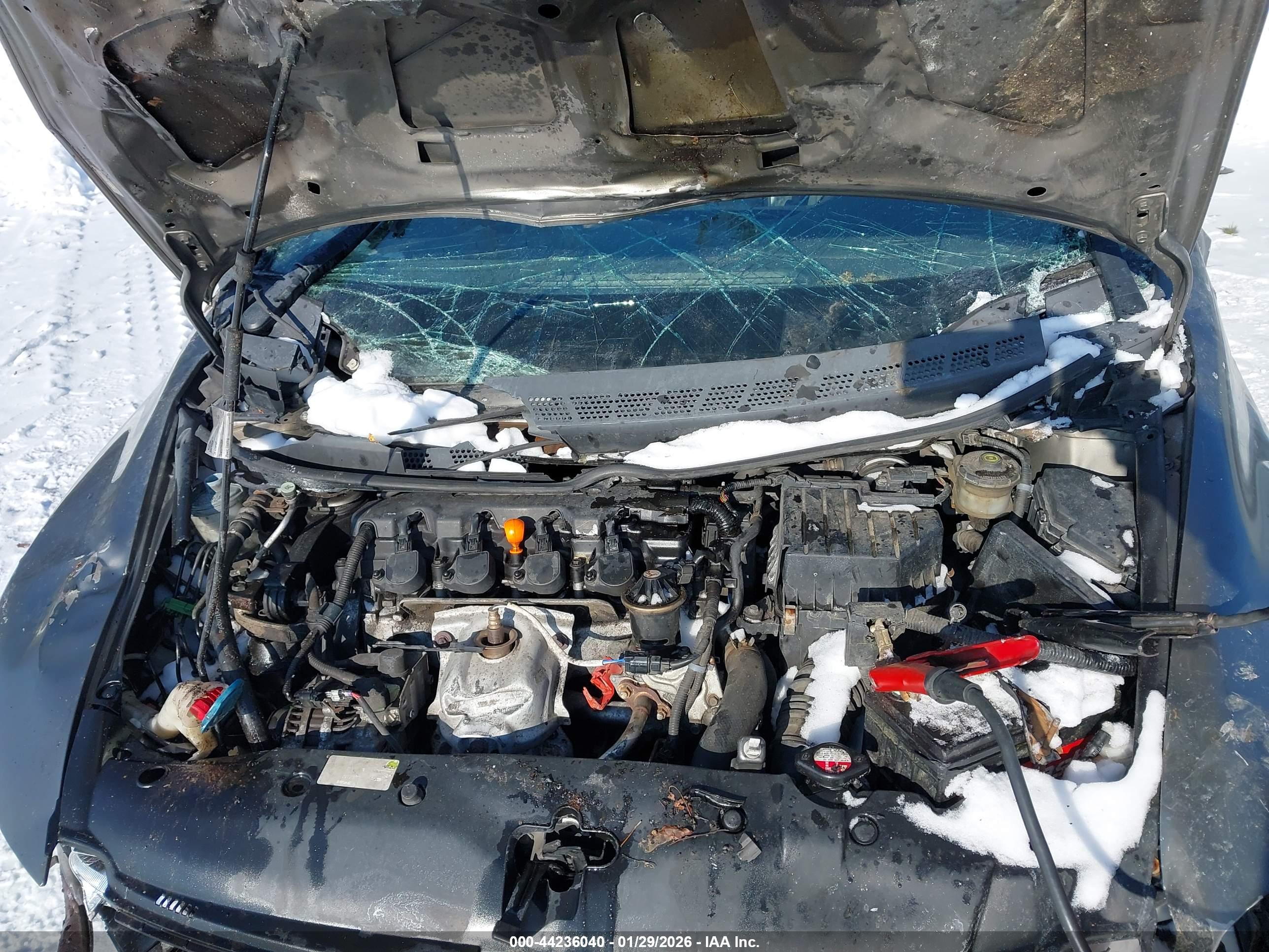 HONDA CIVIC image 10