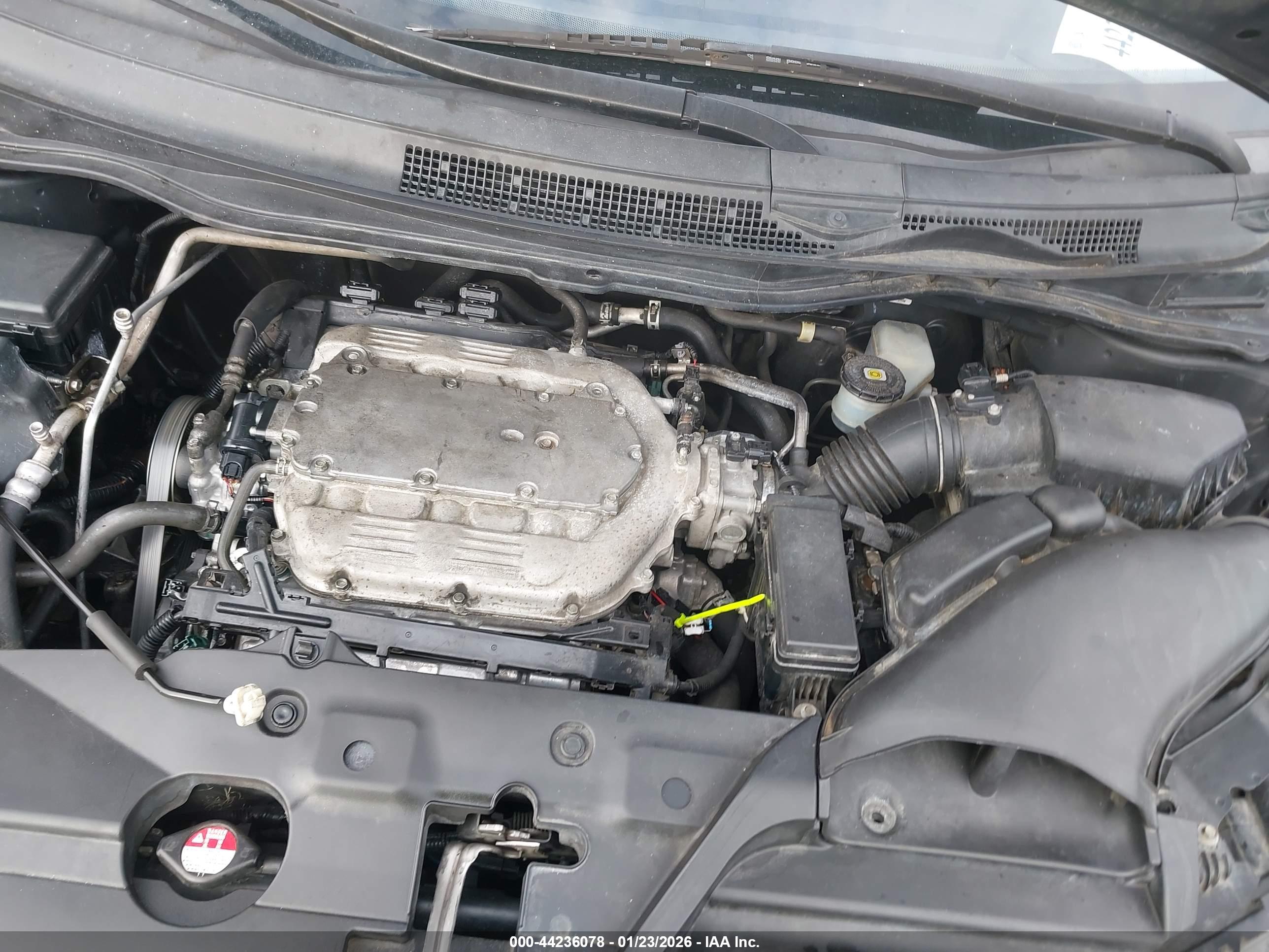 HONDA ODYSSEY image 10