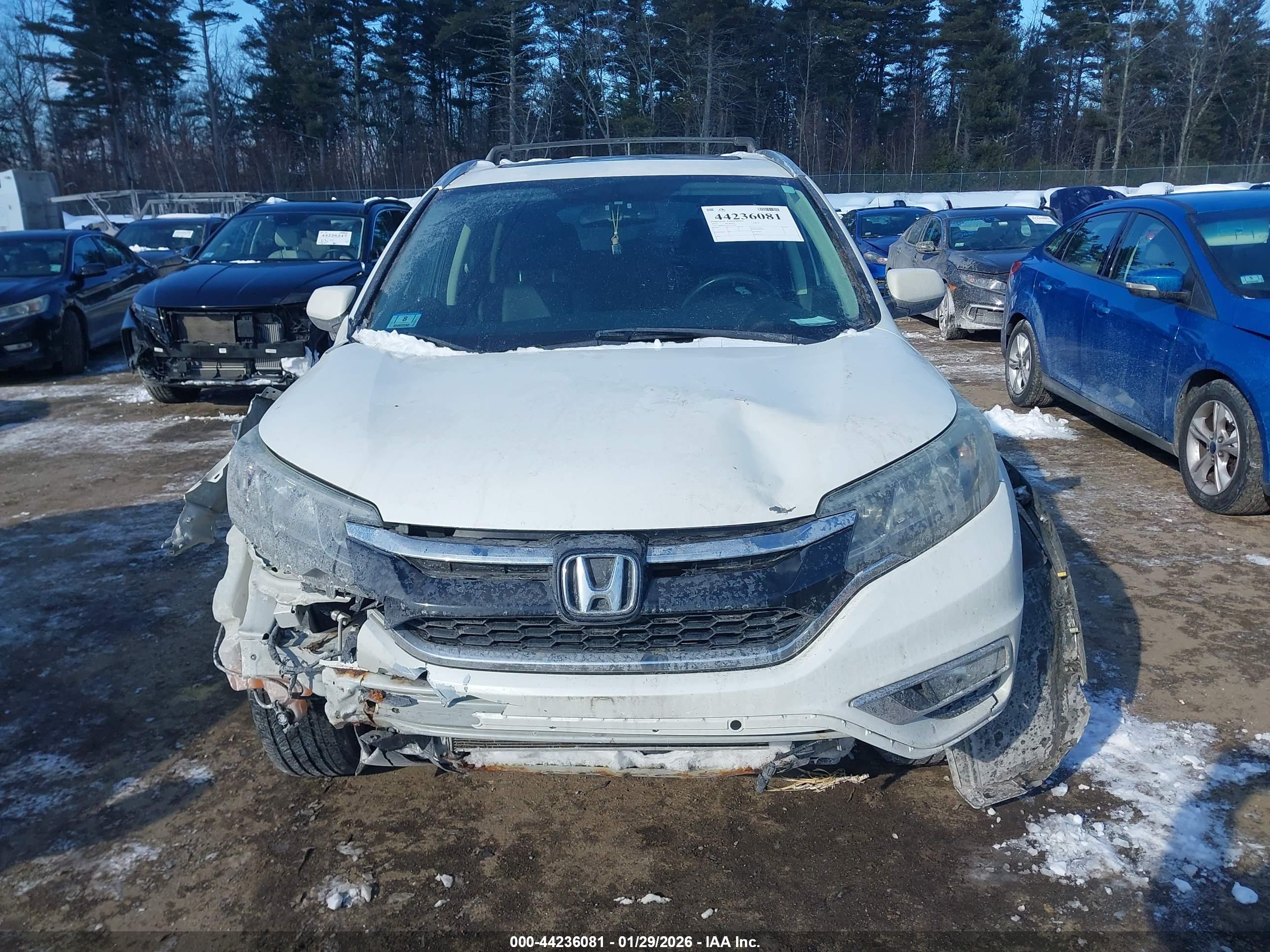 HONDA CR-V image 6