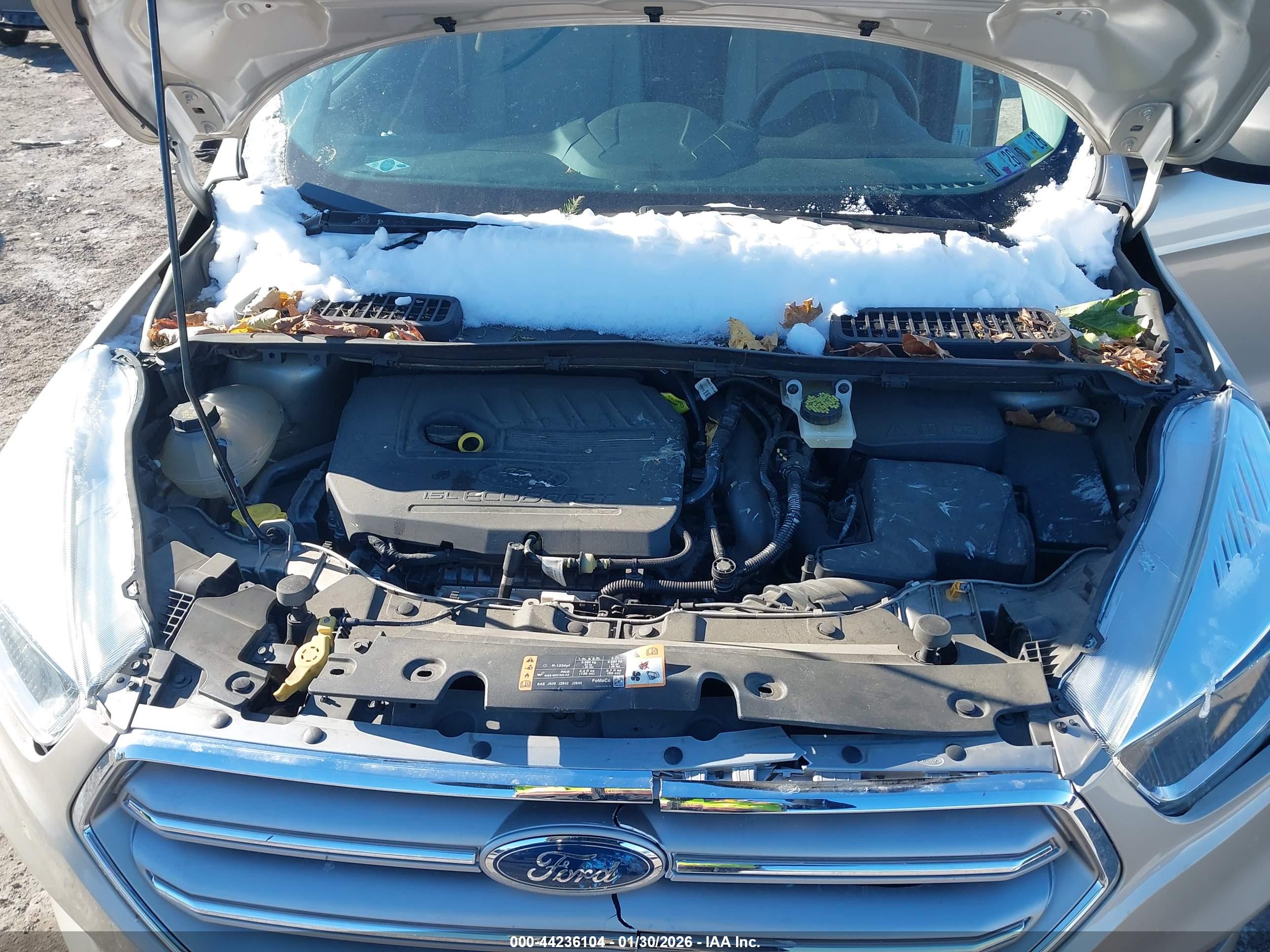 FORD ESCAPE image 10