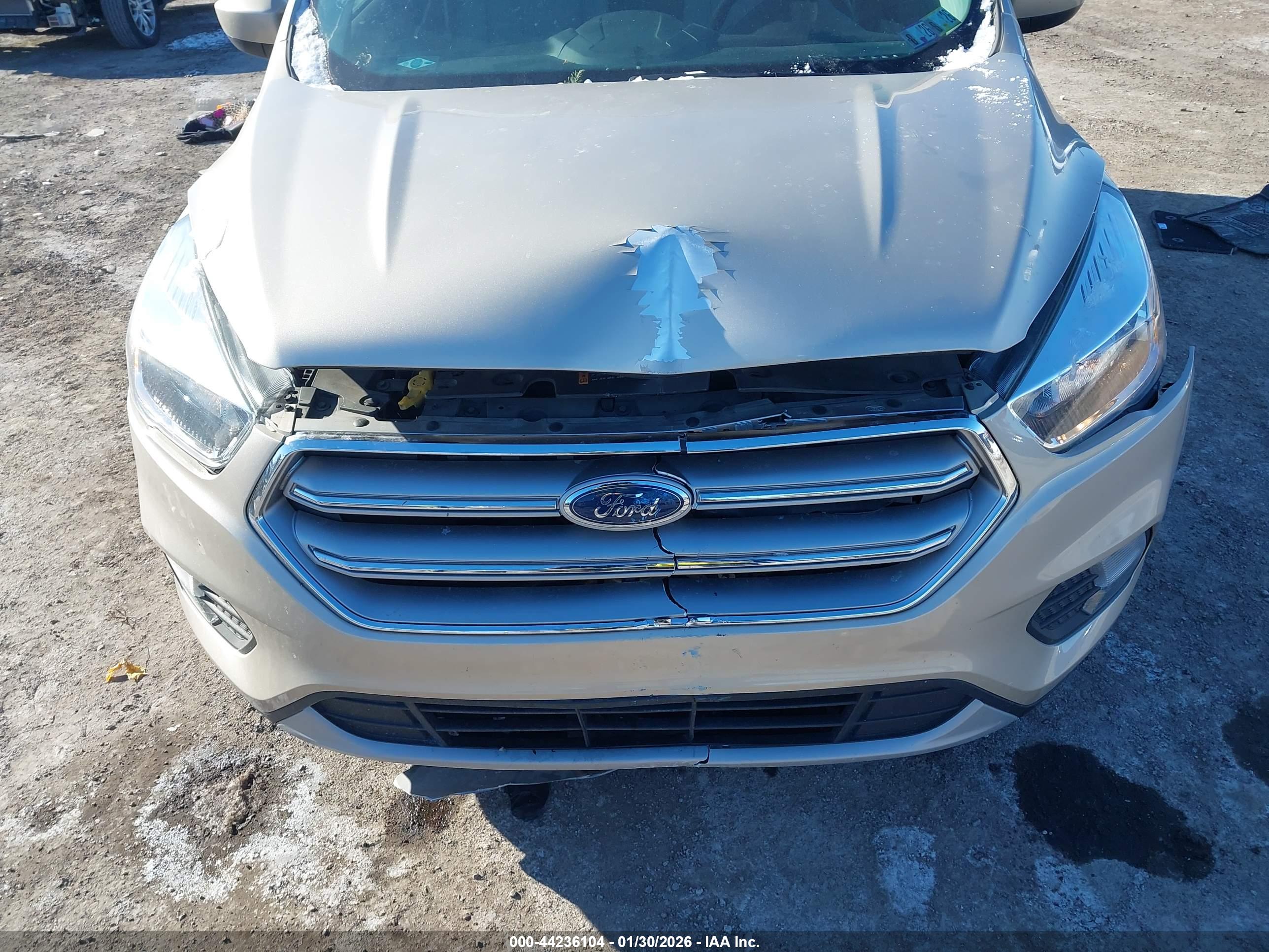 FORD ESCAPE image 6