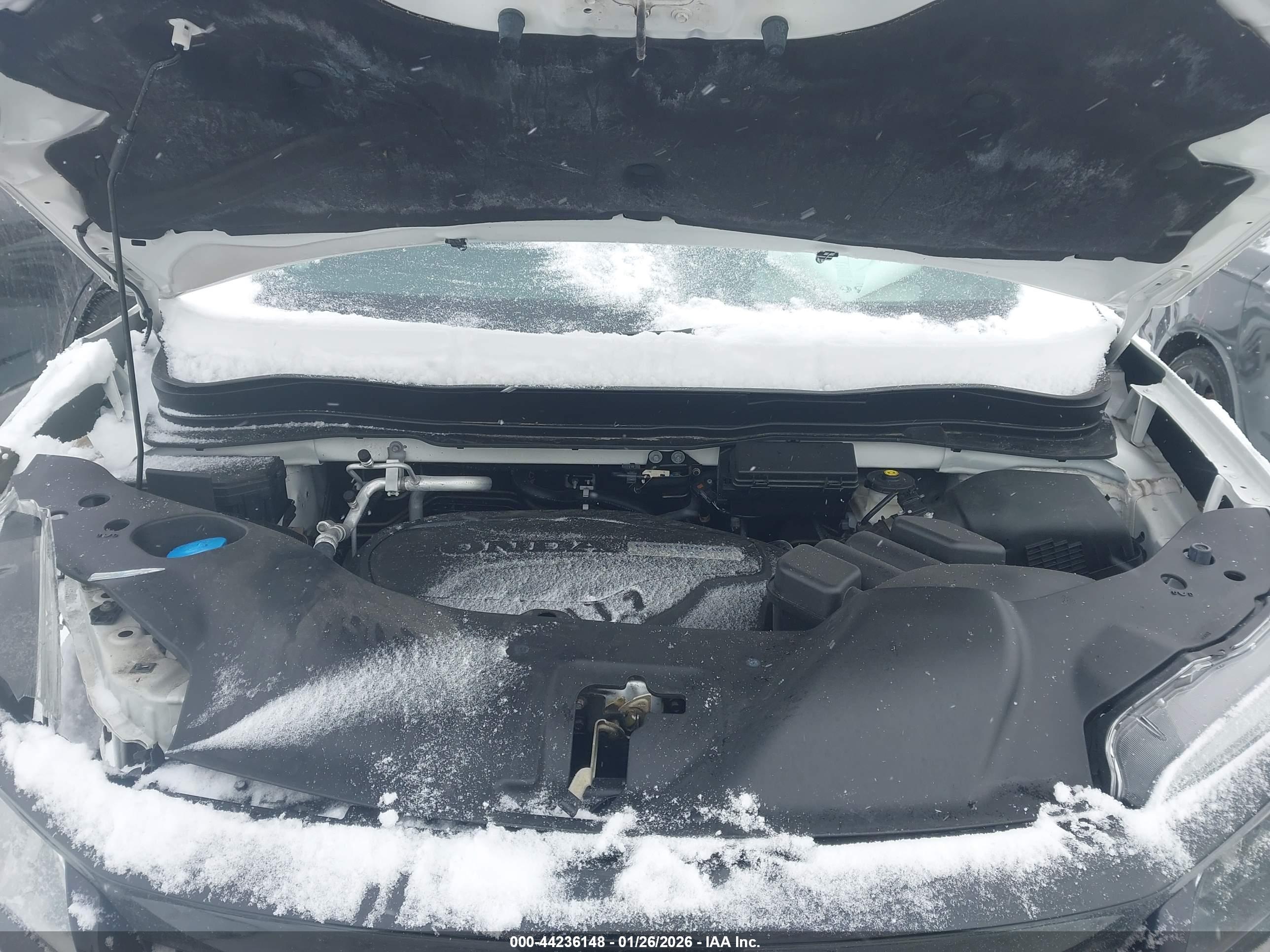 HONDA PASSPORT image 10