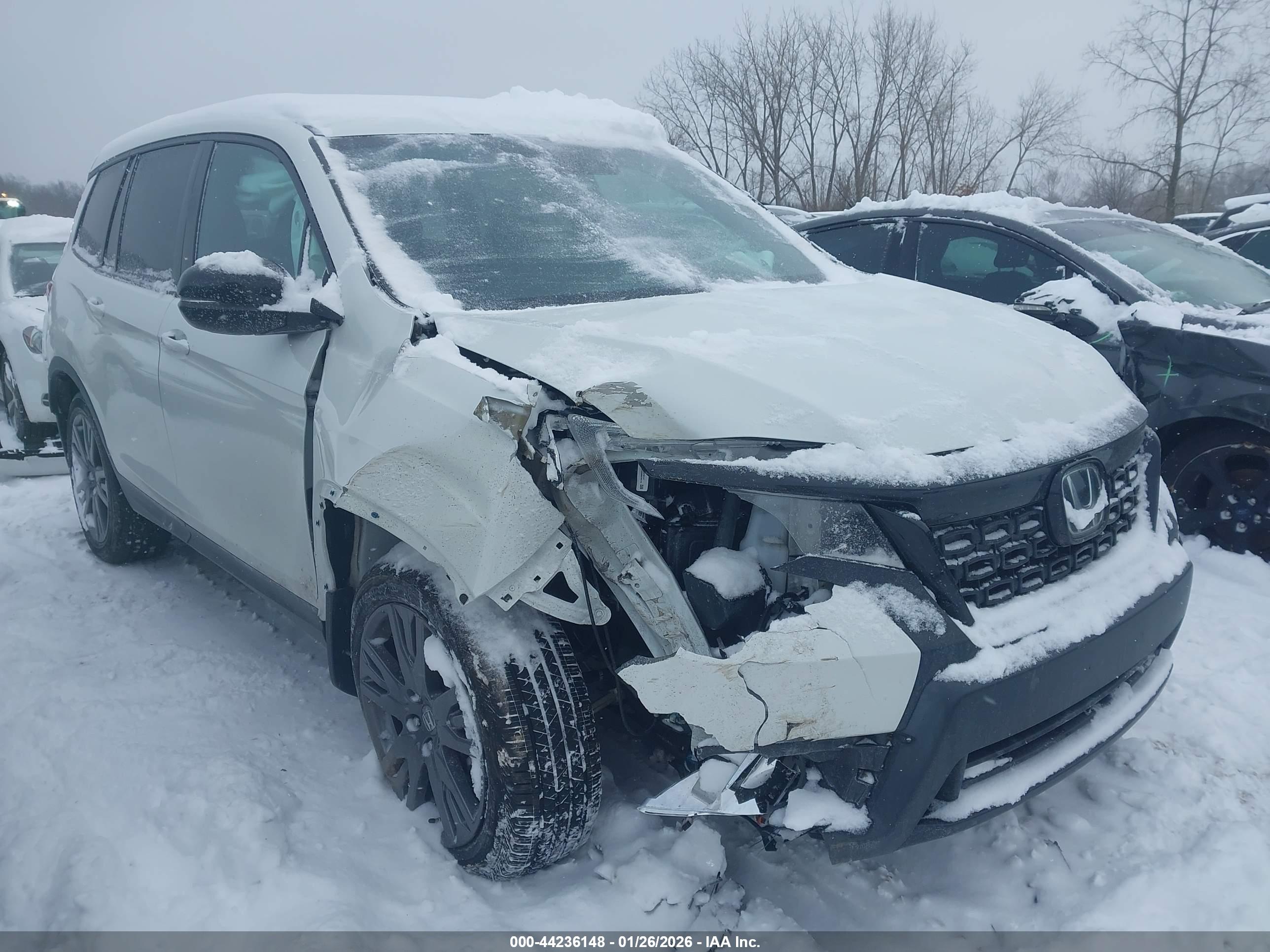 HONDA PASSPORT image 6