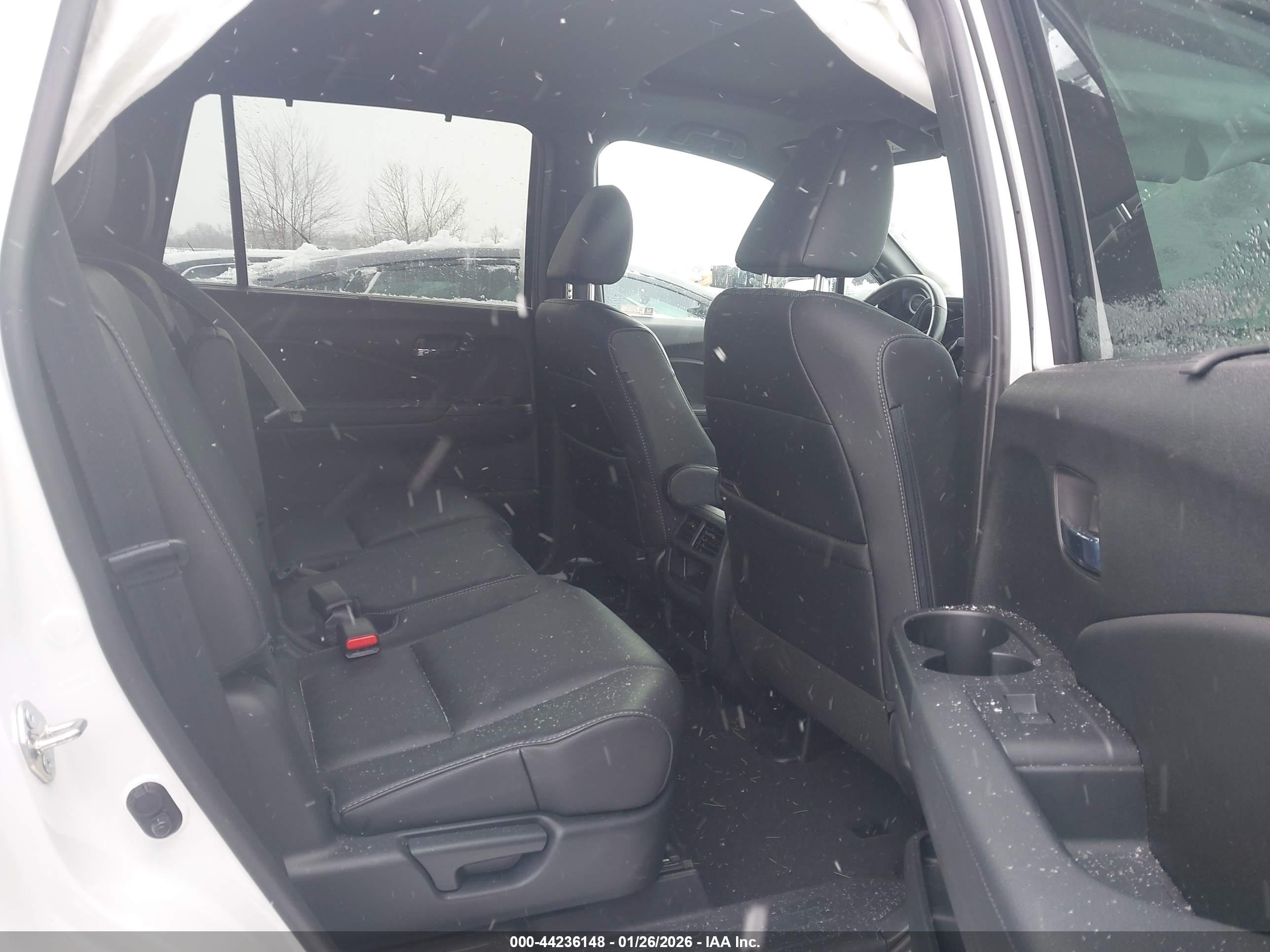 HONDA PASSPORT image 8