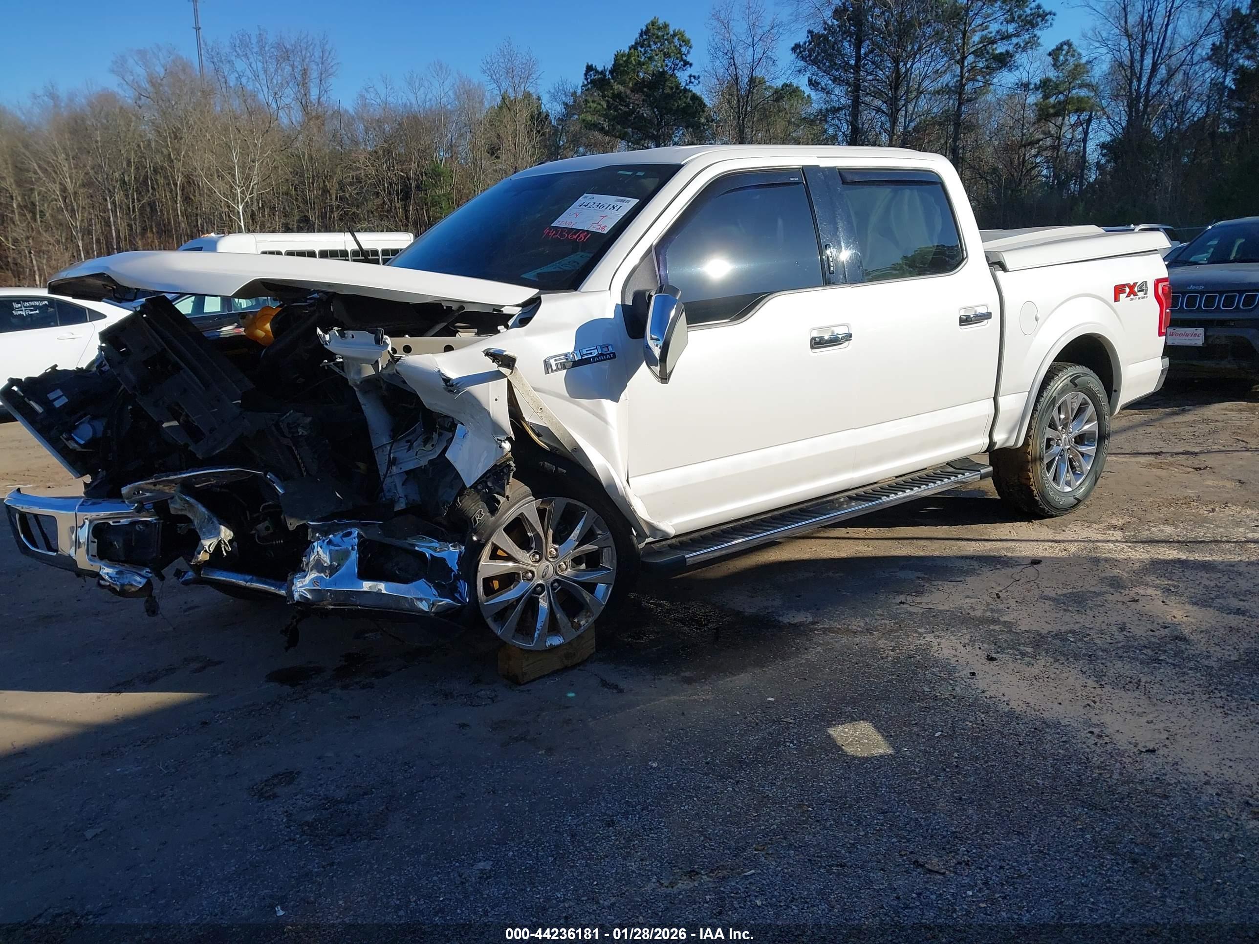 FORD F-150 image 2