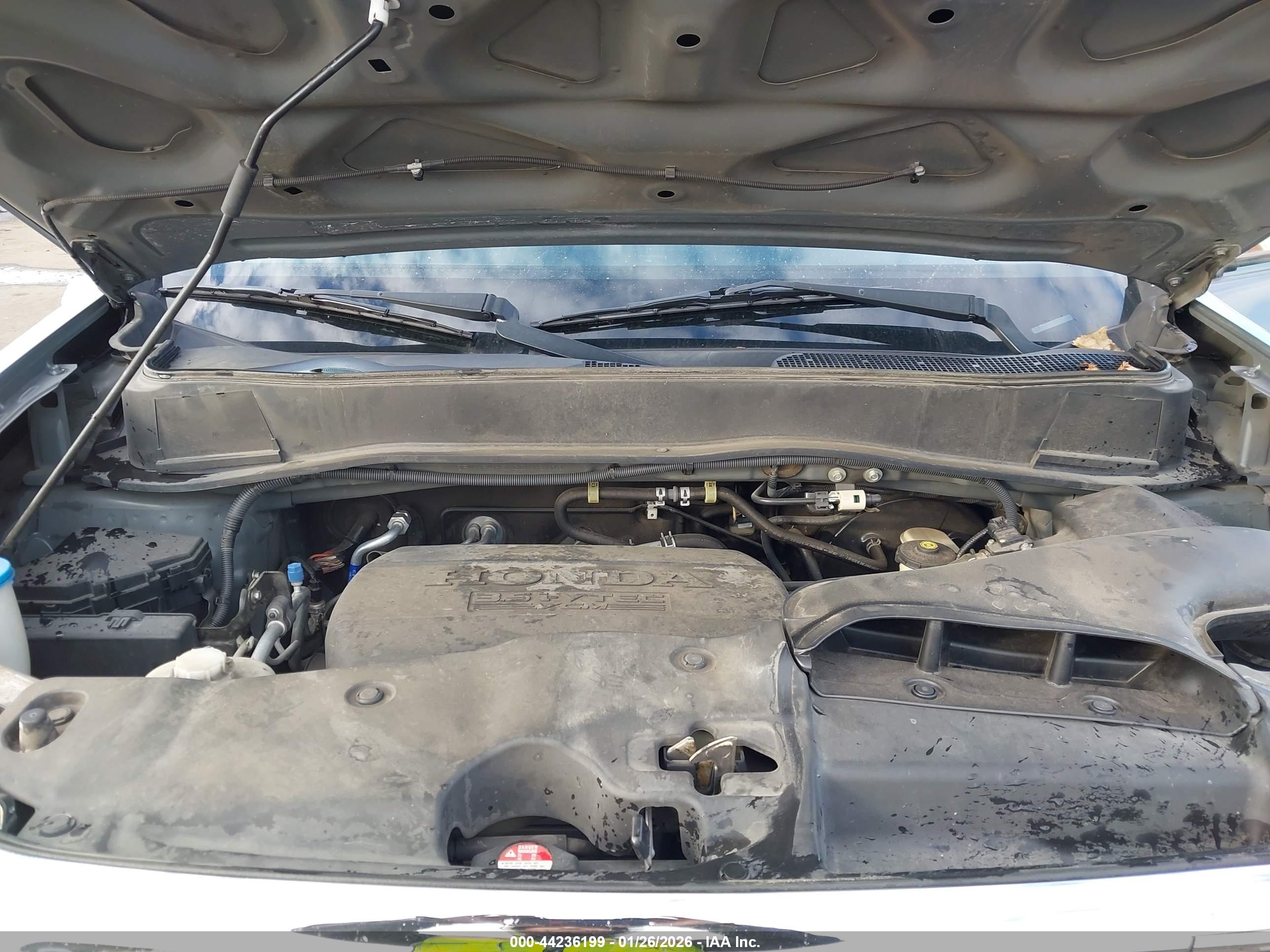 HONDA PILOT image 10