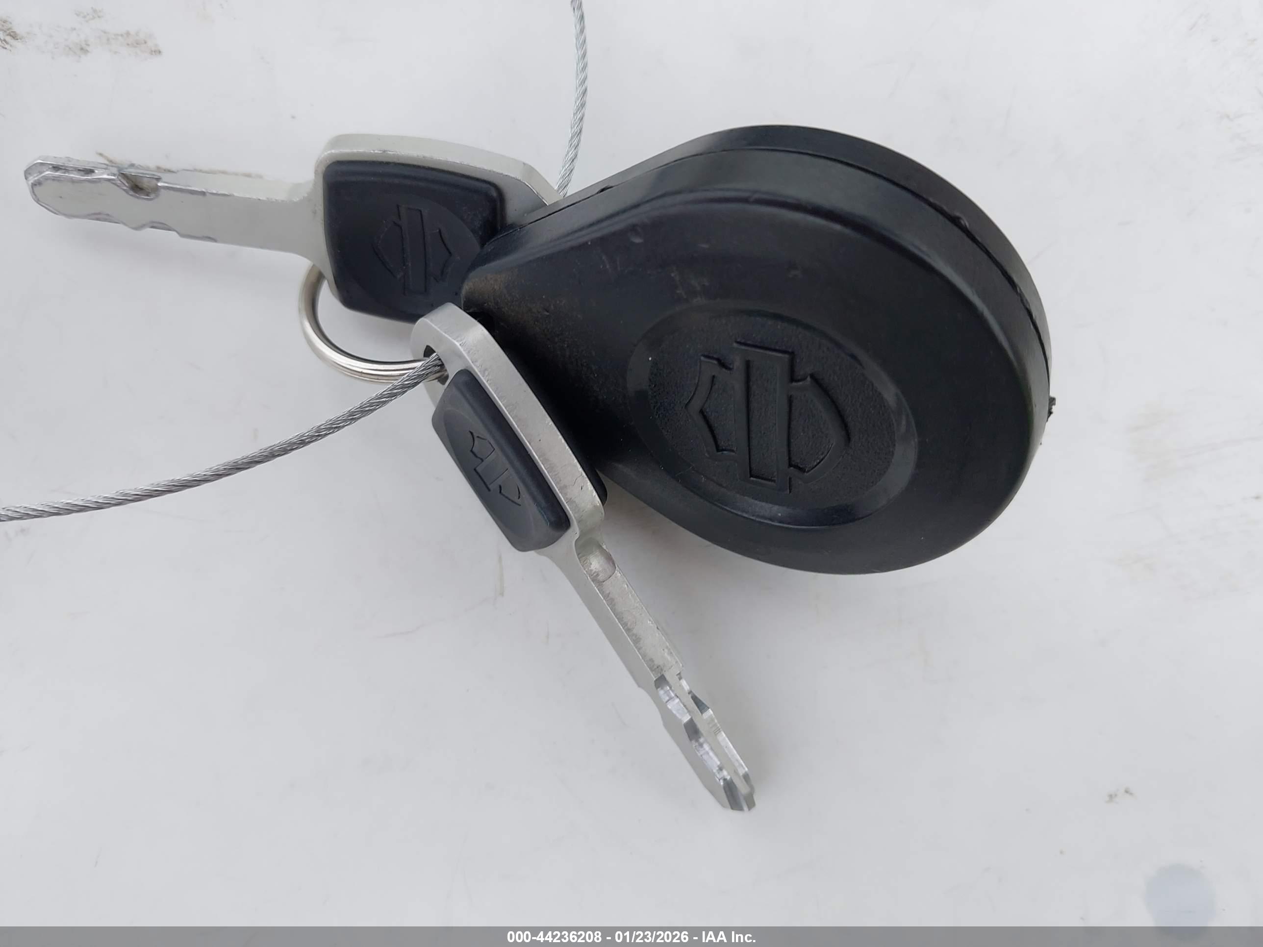 HARLEY-DAVIDSON FLHCS image 11