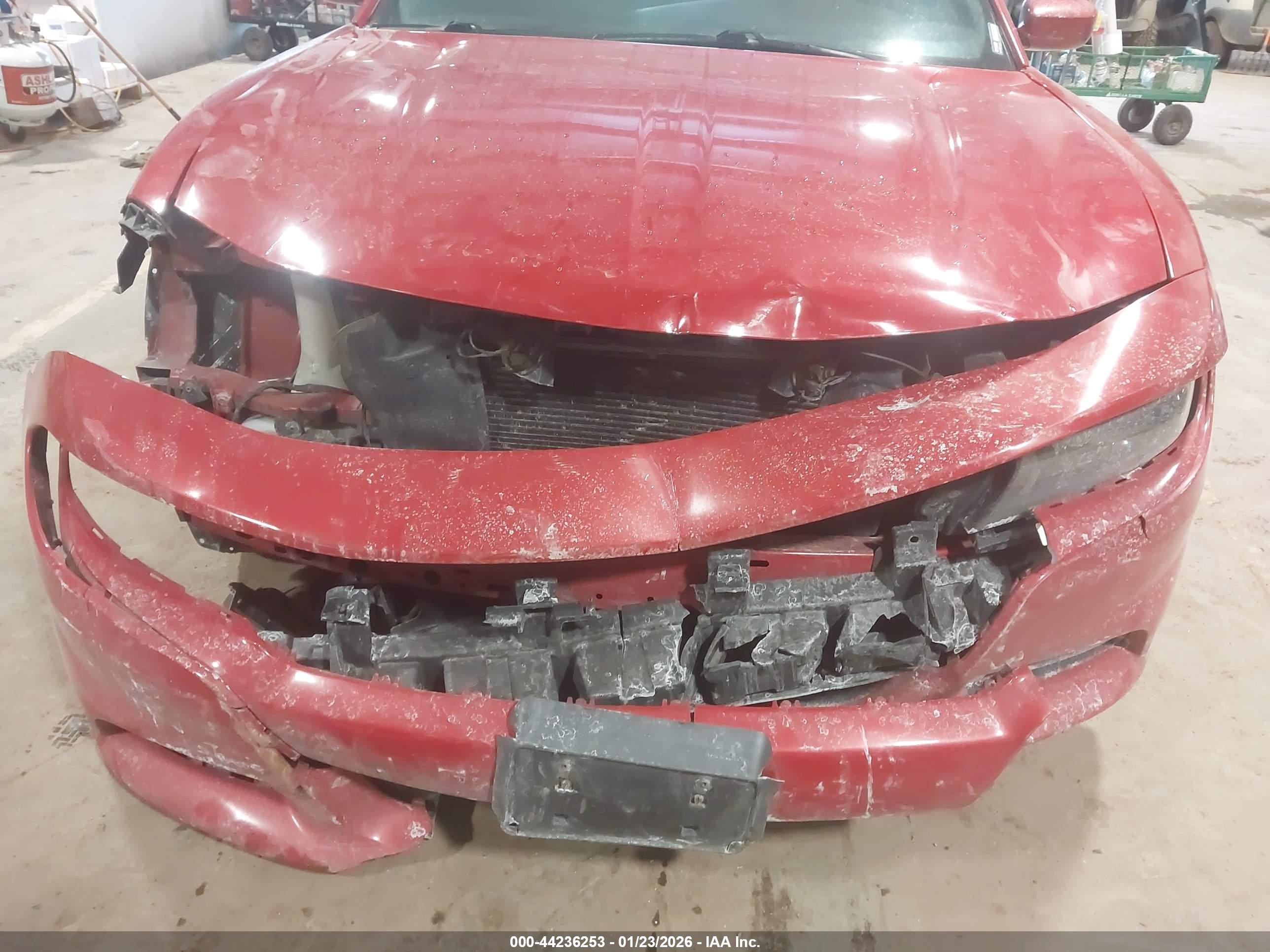 DODGE CHARGER image 6