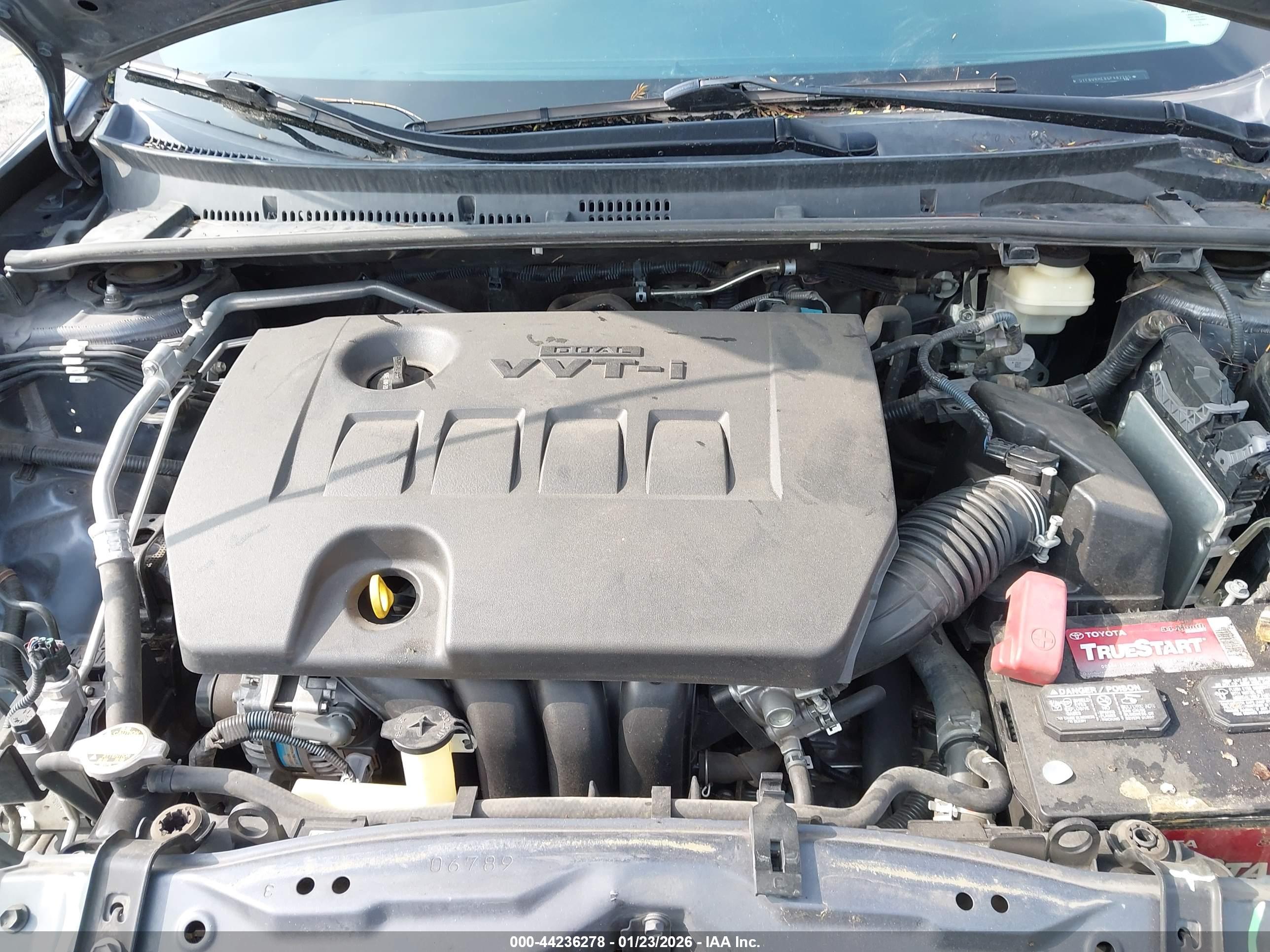 TOYOTA COROLLA image 10